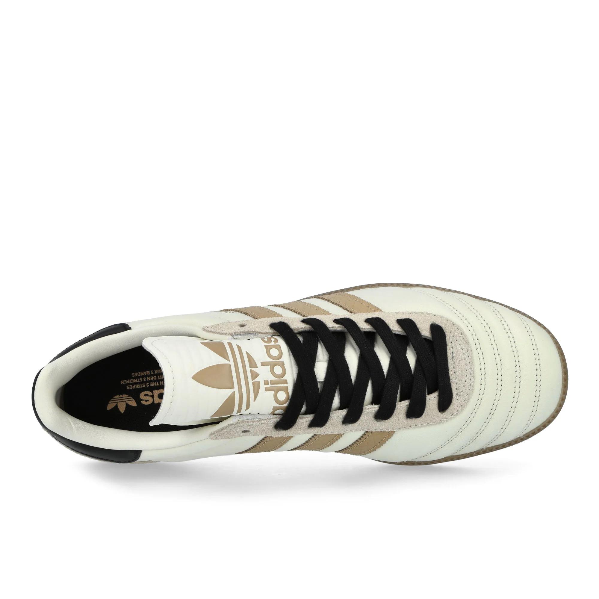 Samba JP - Image 5