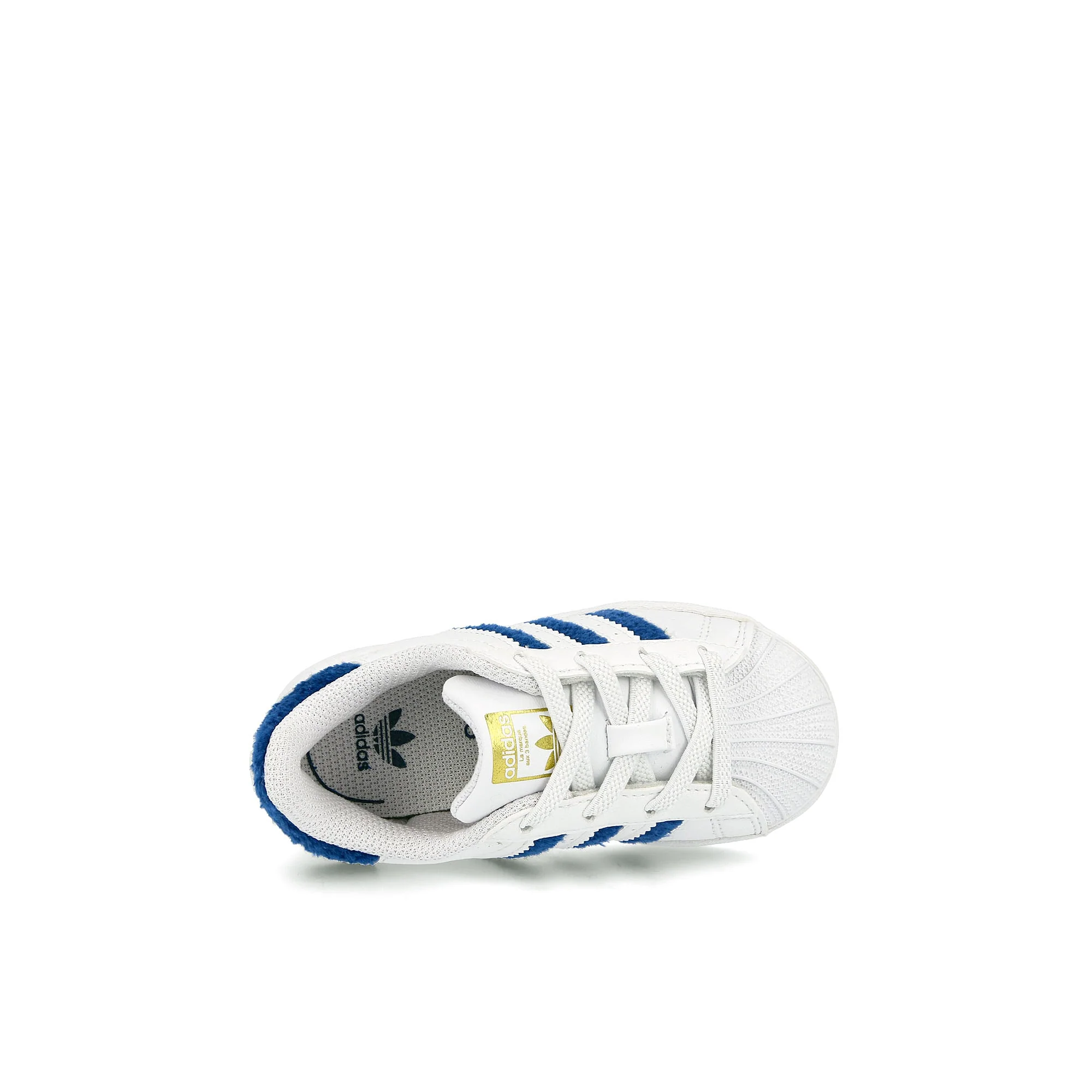 superstar el infants - Image 5