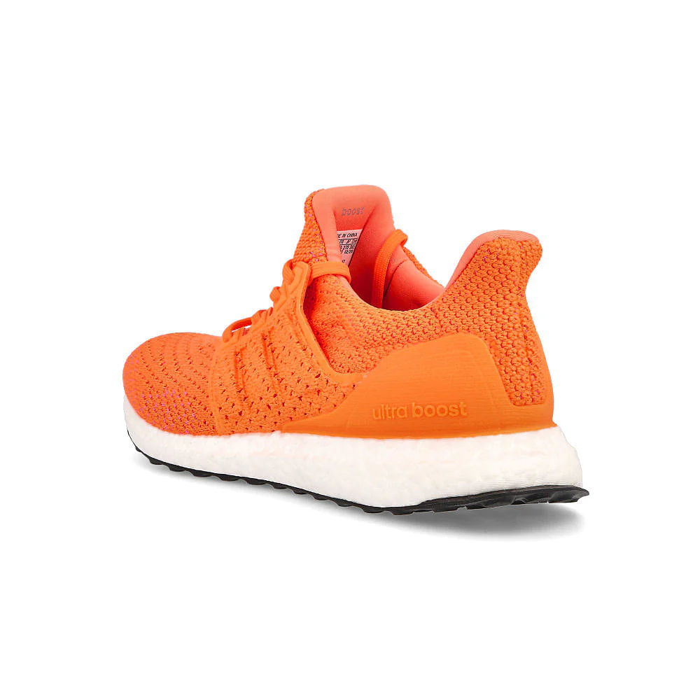 ultraboost clima dna - Image 3