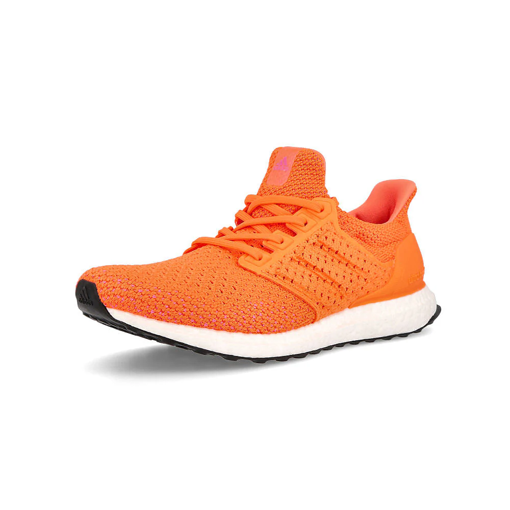 ultraboost clima dna - Image 4