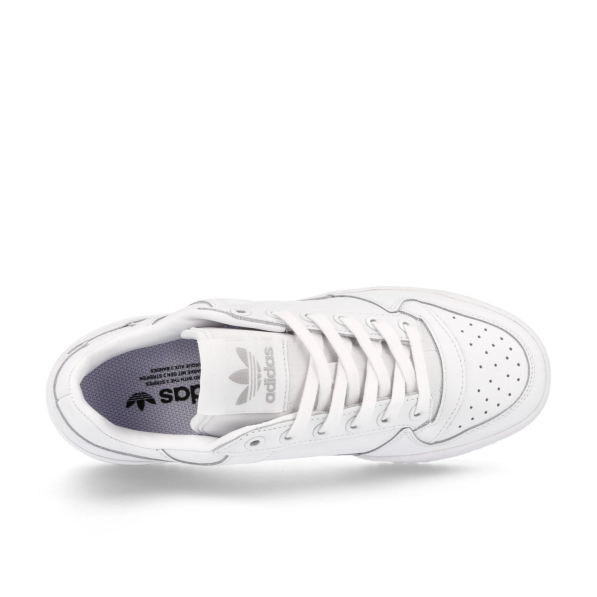 wmns forum bold - Image 5