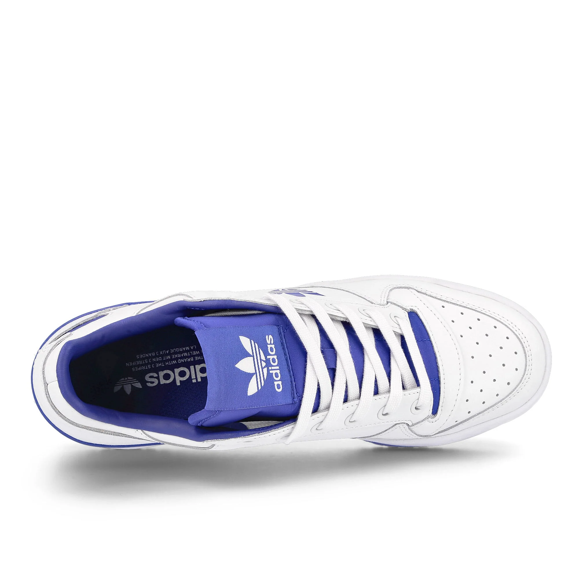 wmns forum bold - Image 5
