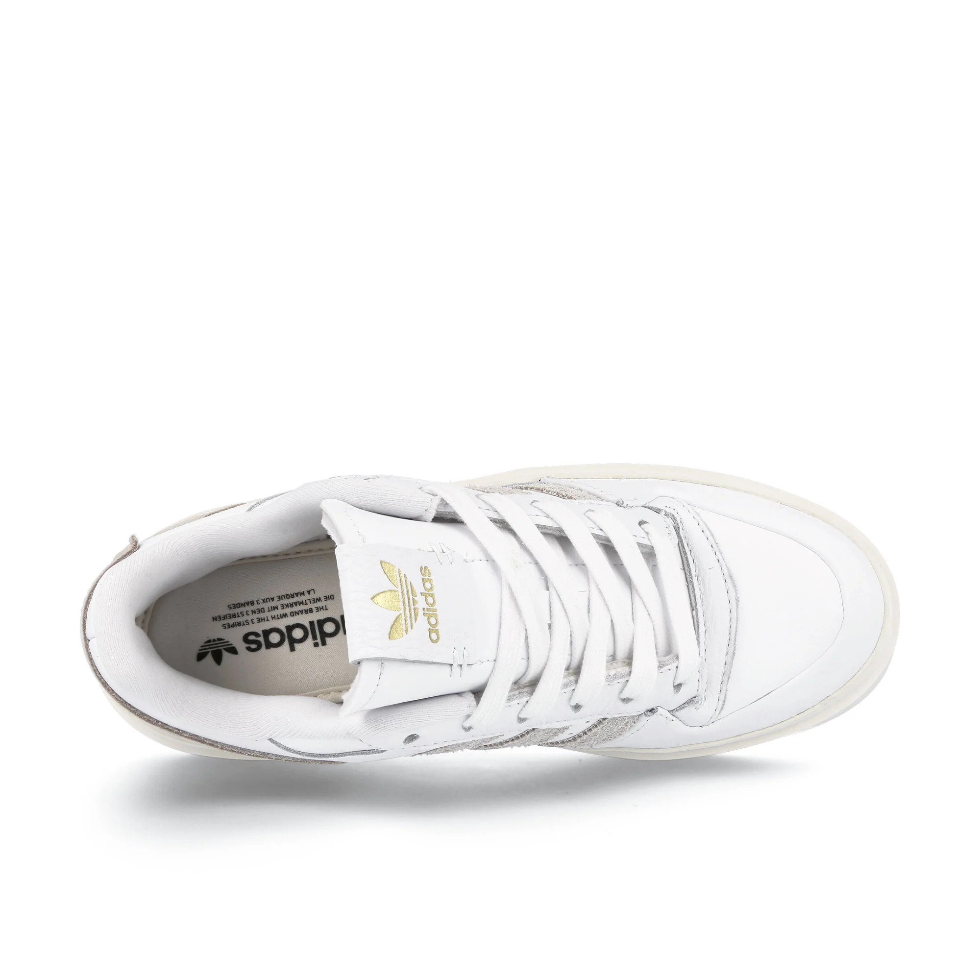 wmns forum bonega - Image 5