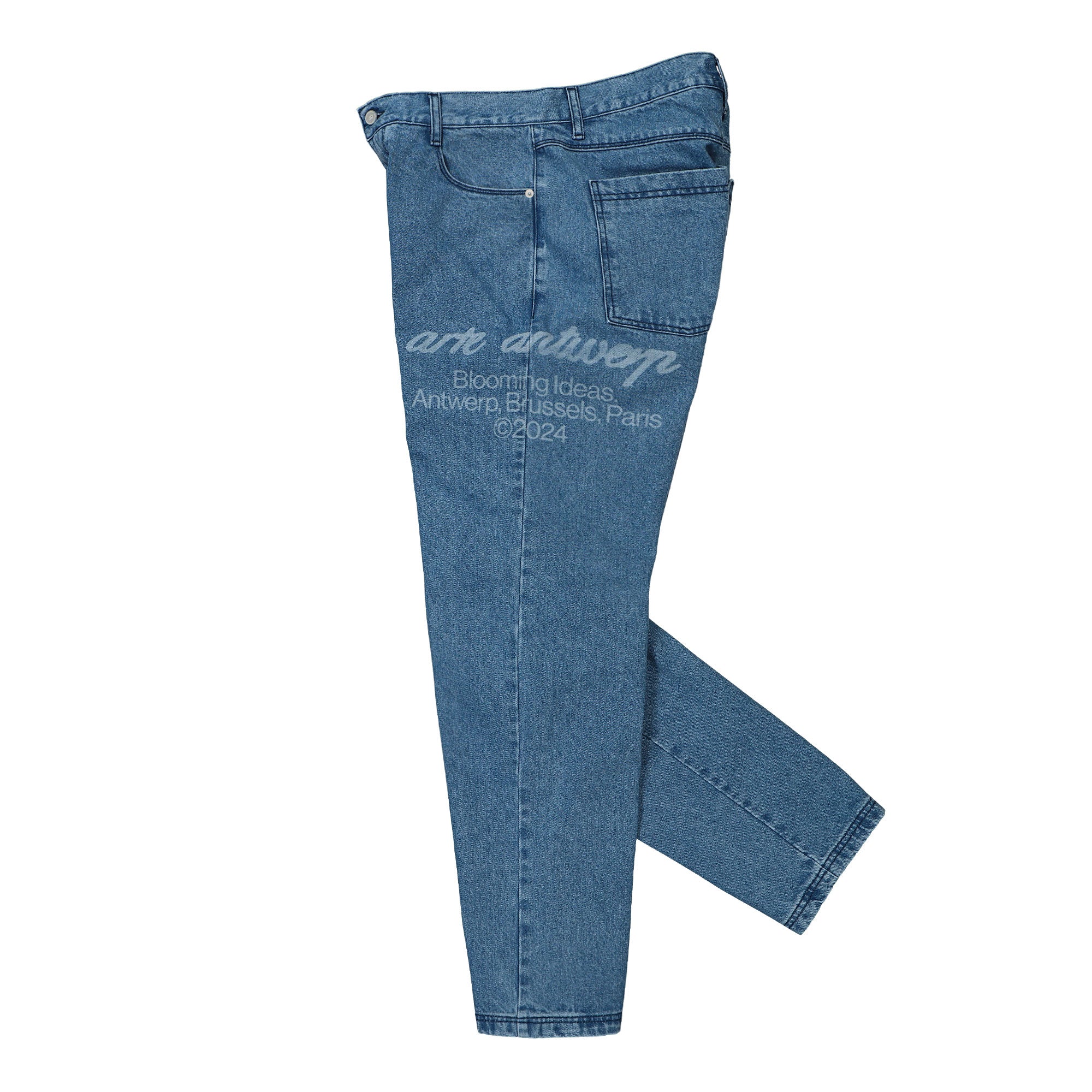 Blooming Ideas Pants - Image 3