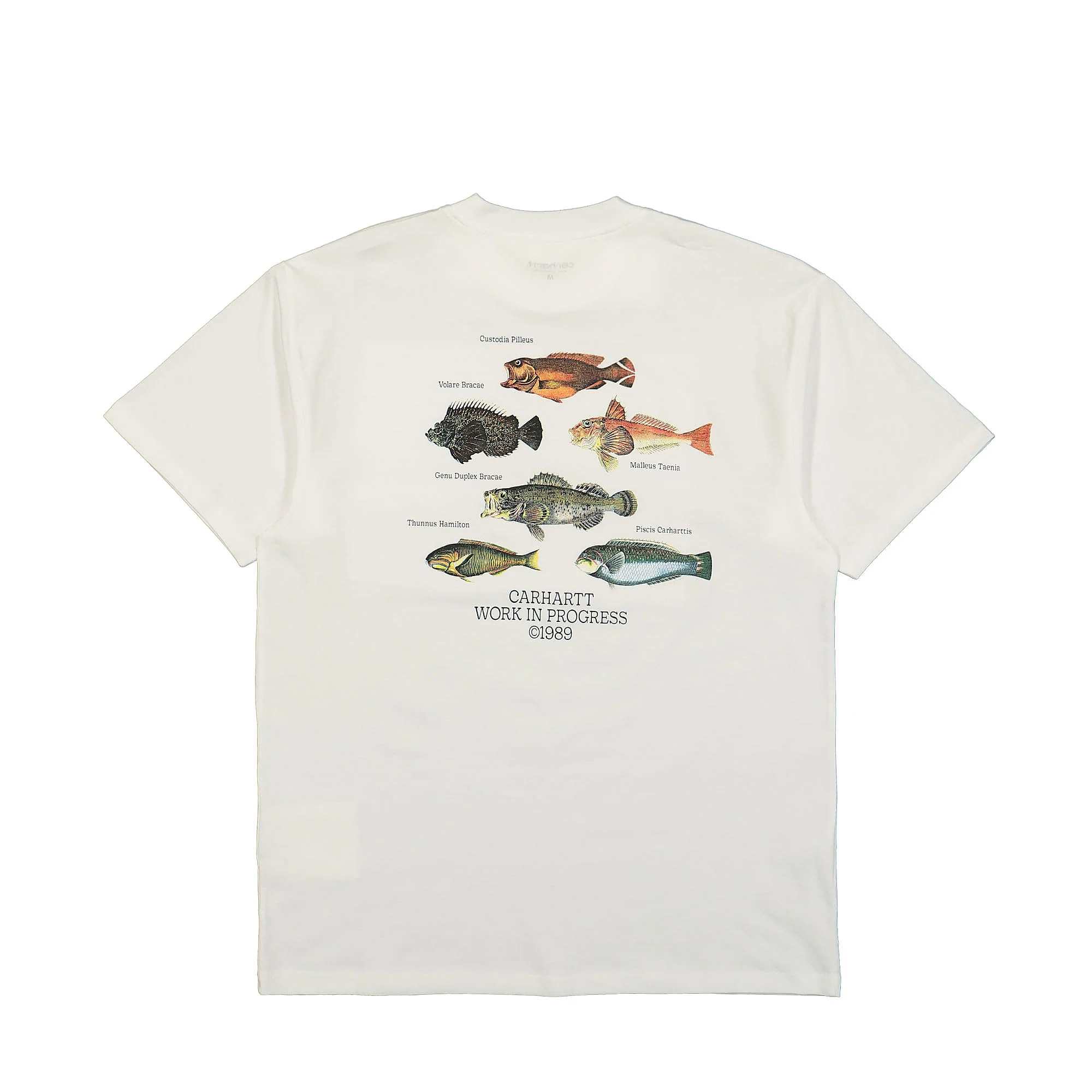 S/S Fish T-Shirt - Image 3
