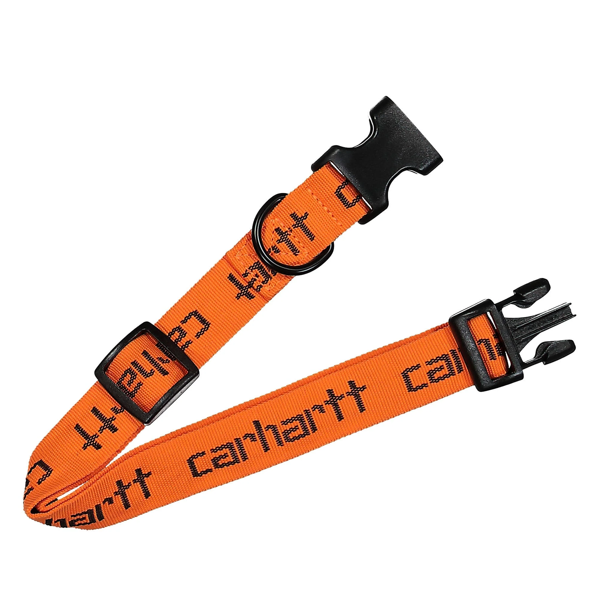 Script Dog Leash & Collar - Image 2