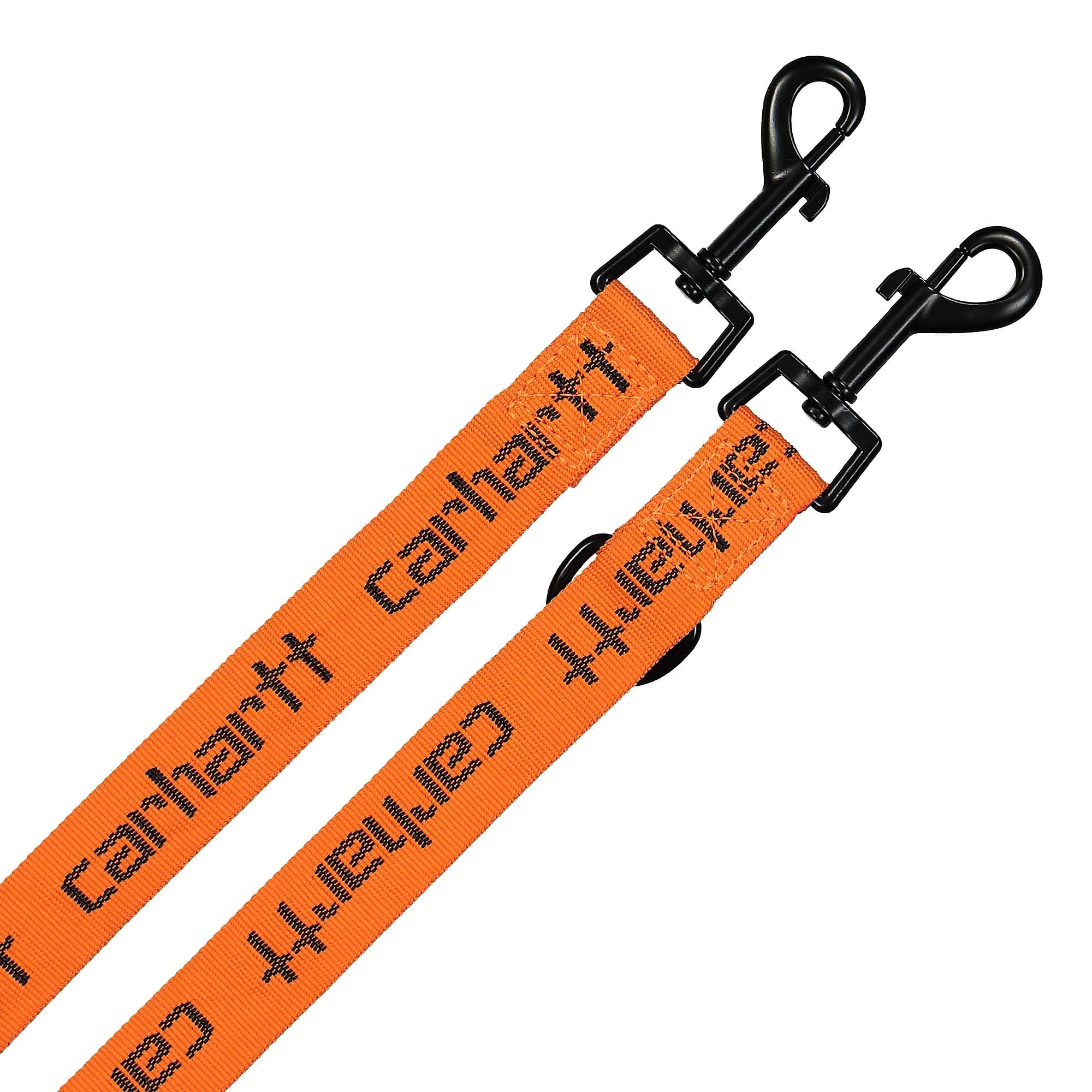 Script Dog Leash & Collar - Image 4