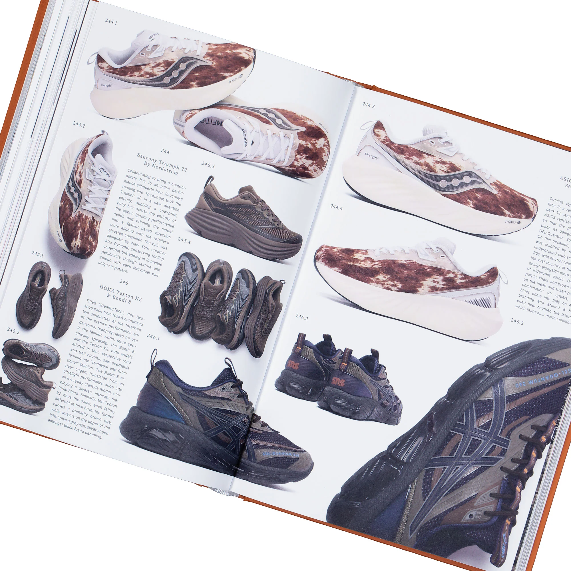 Journal Volume 4 - Image 4