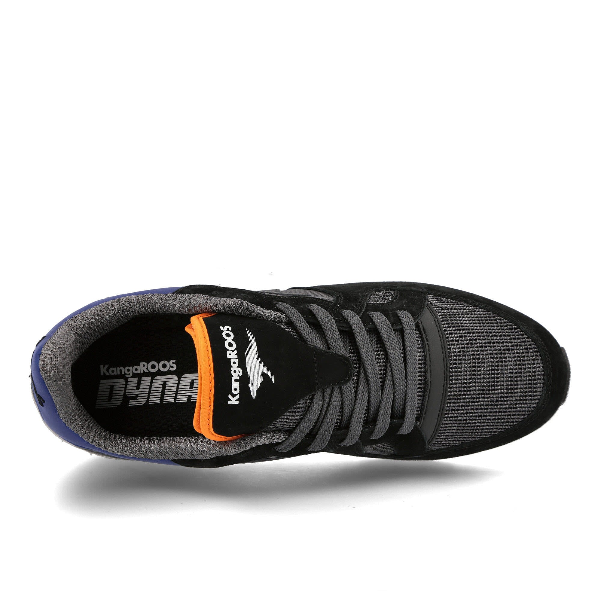 coil-r1 og pop - Image 5