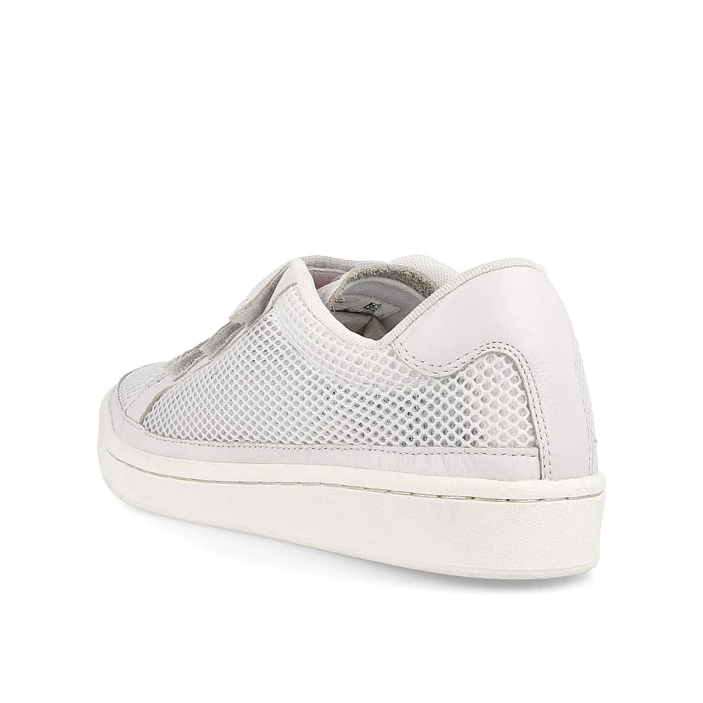 camden new cup mesh tfm - Image 3