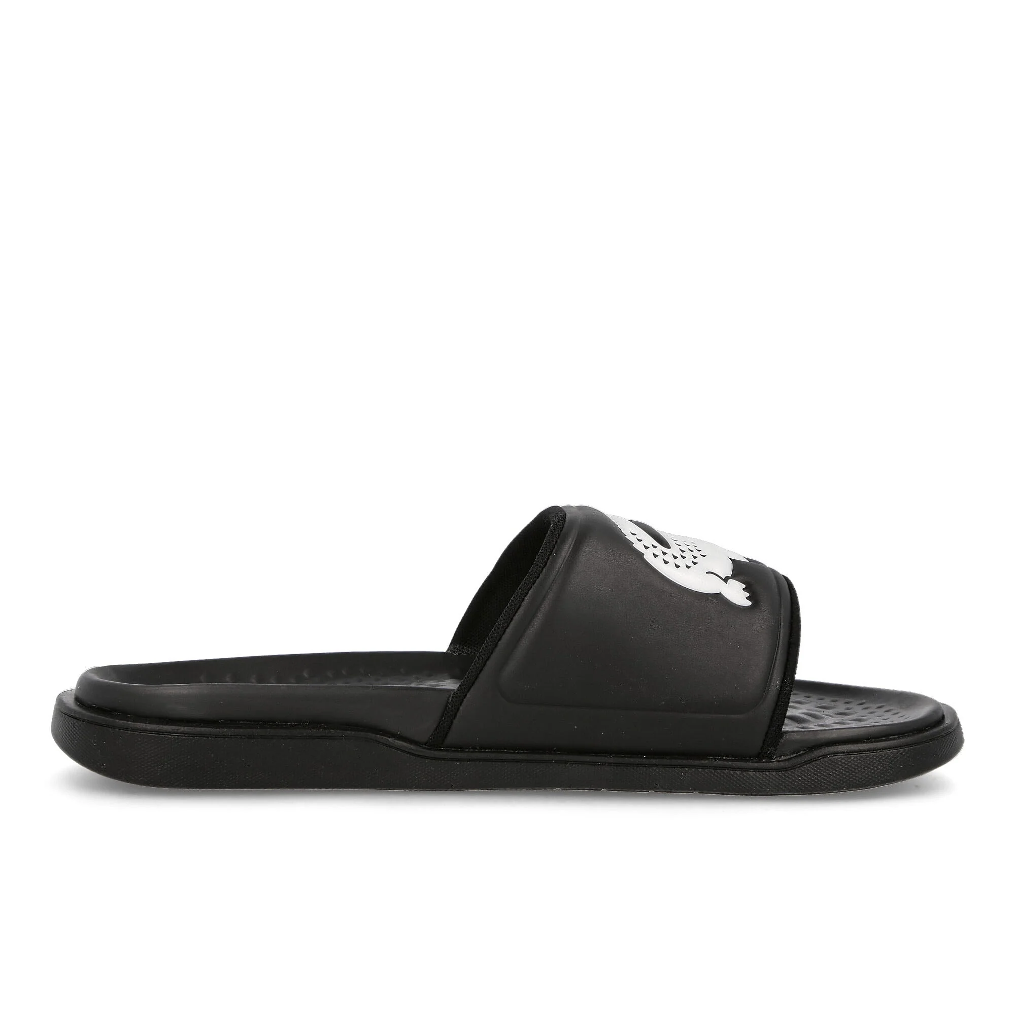 croco dualiste - Image 2