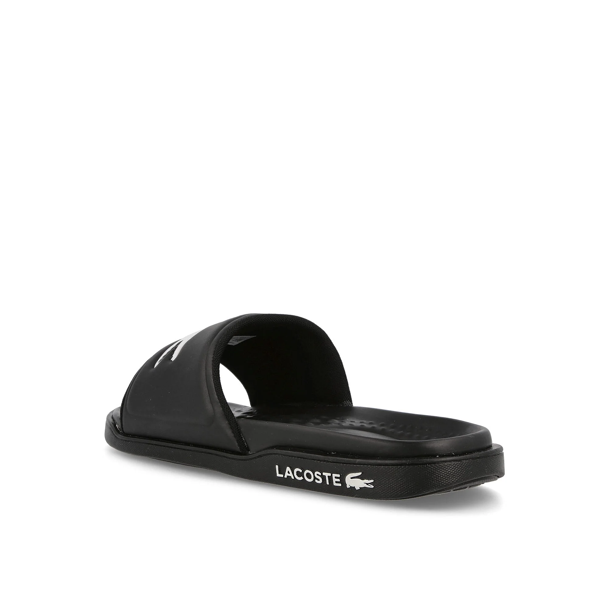 croco dualiste - Image 3