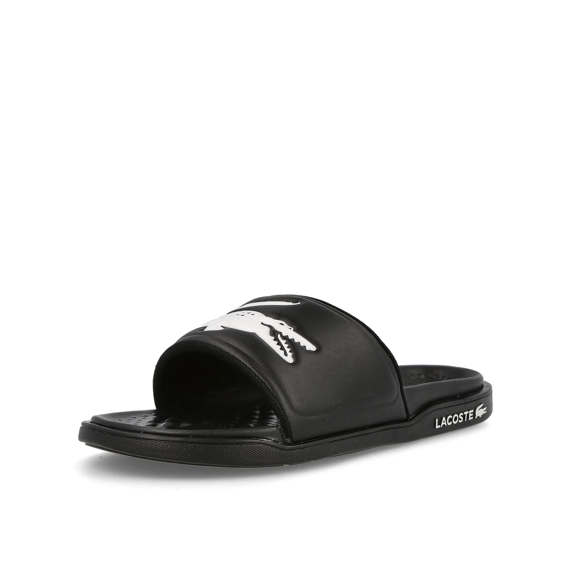 croco dualiste - Image 4