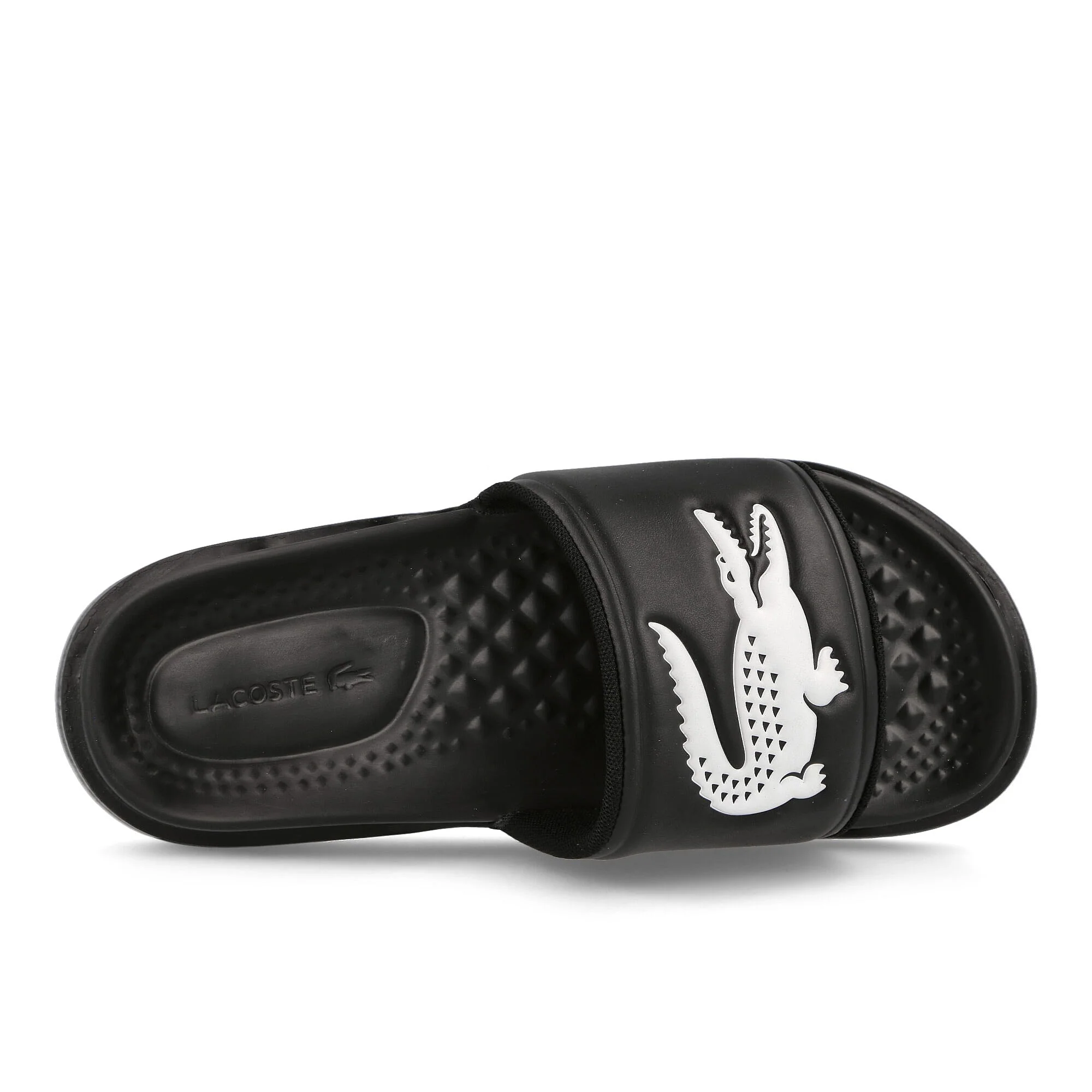 croco dualiste - Image 5