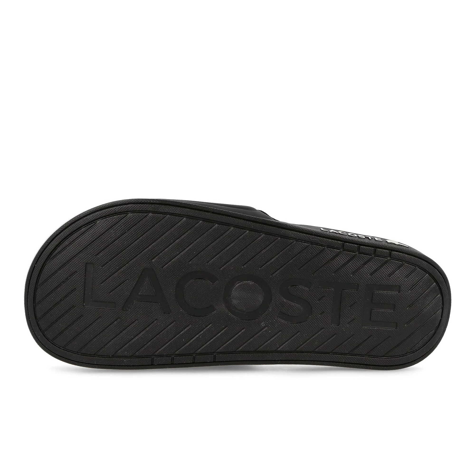 croco dualiste - Image 6