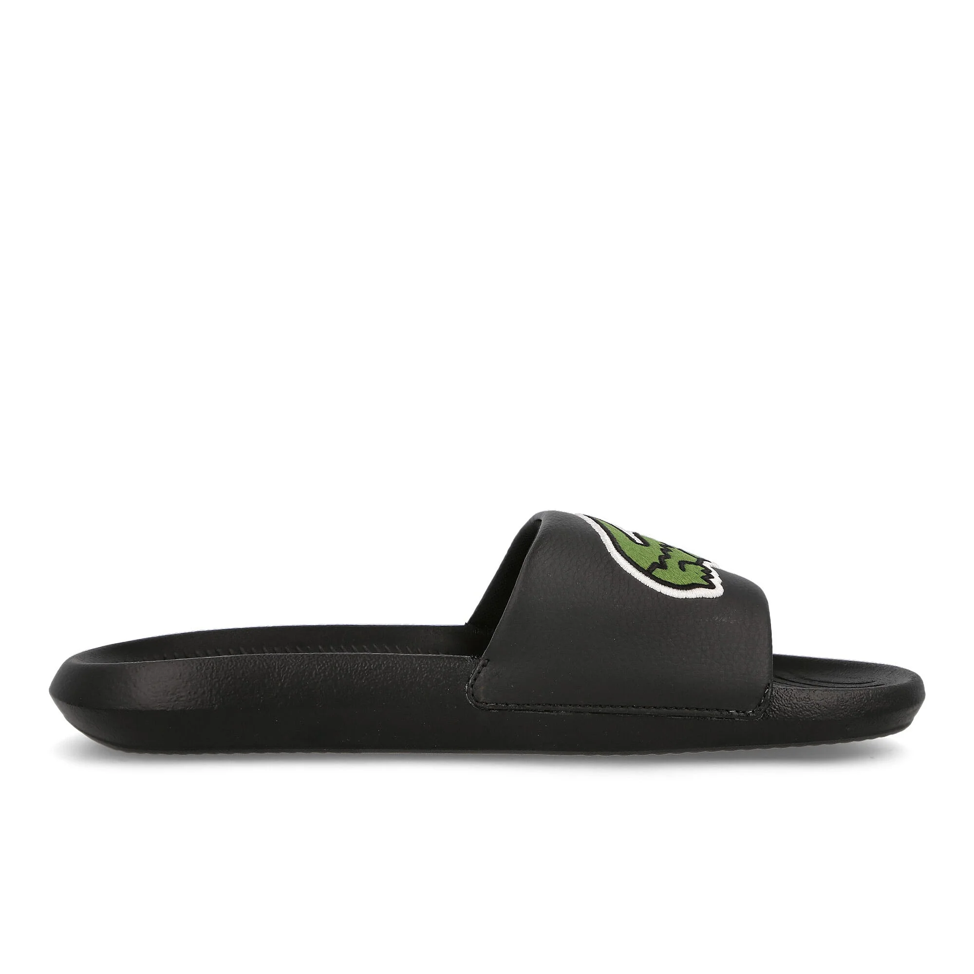 croco slide - Image 2