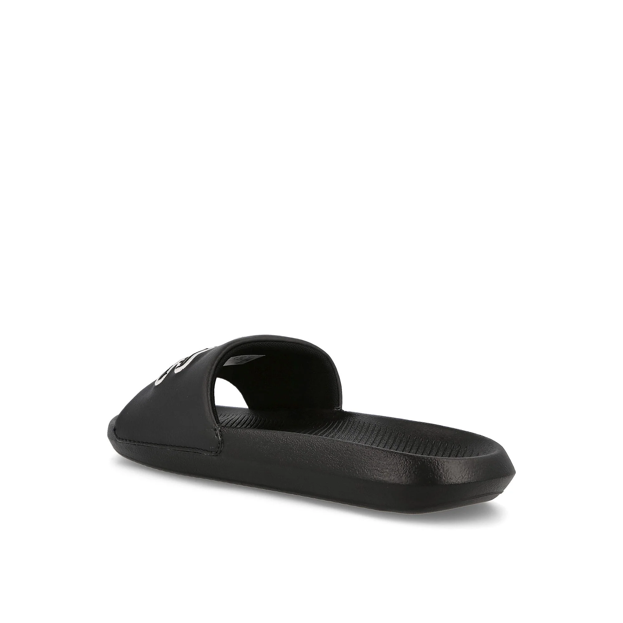 croco slide - Image 3