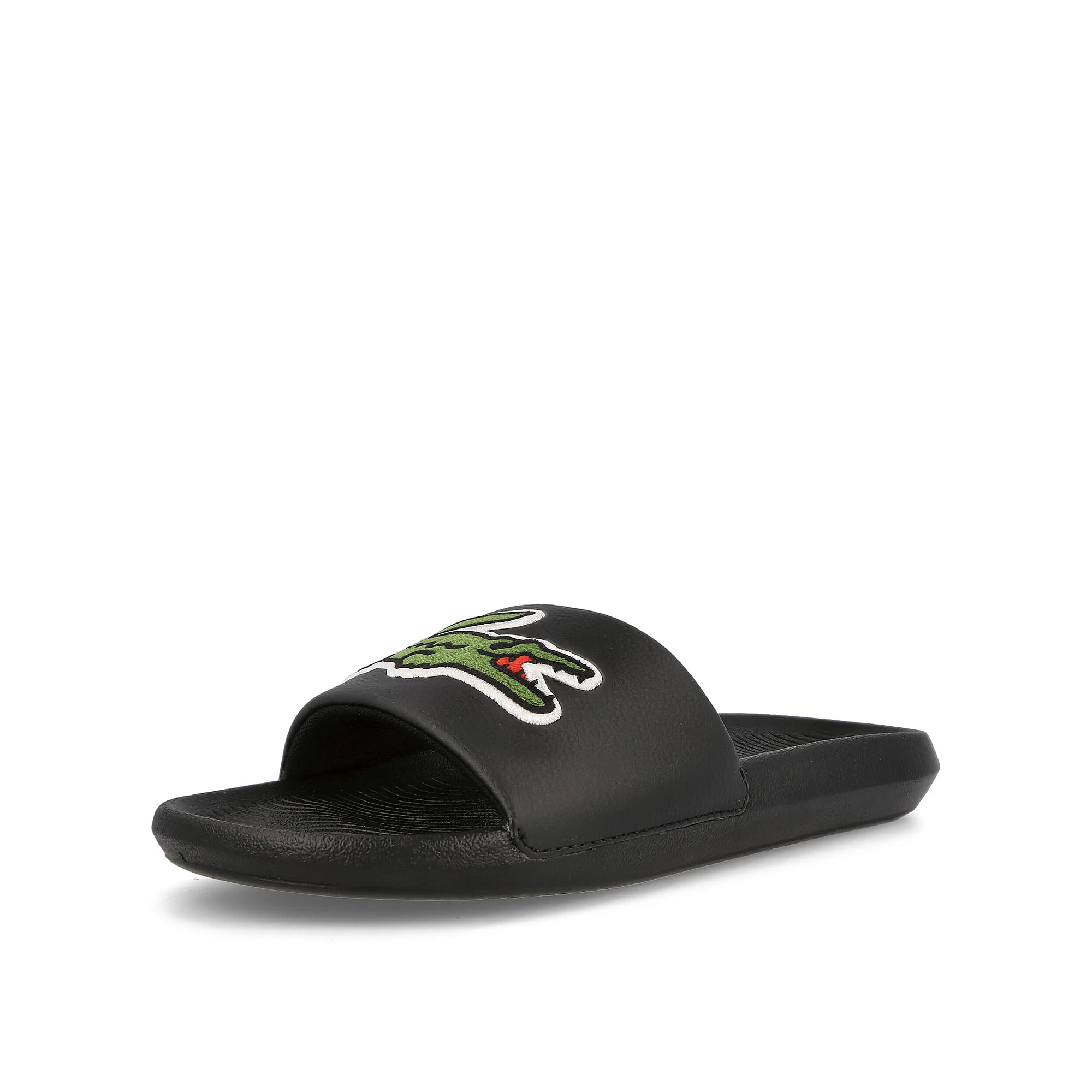 croco slide - Image 4