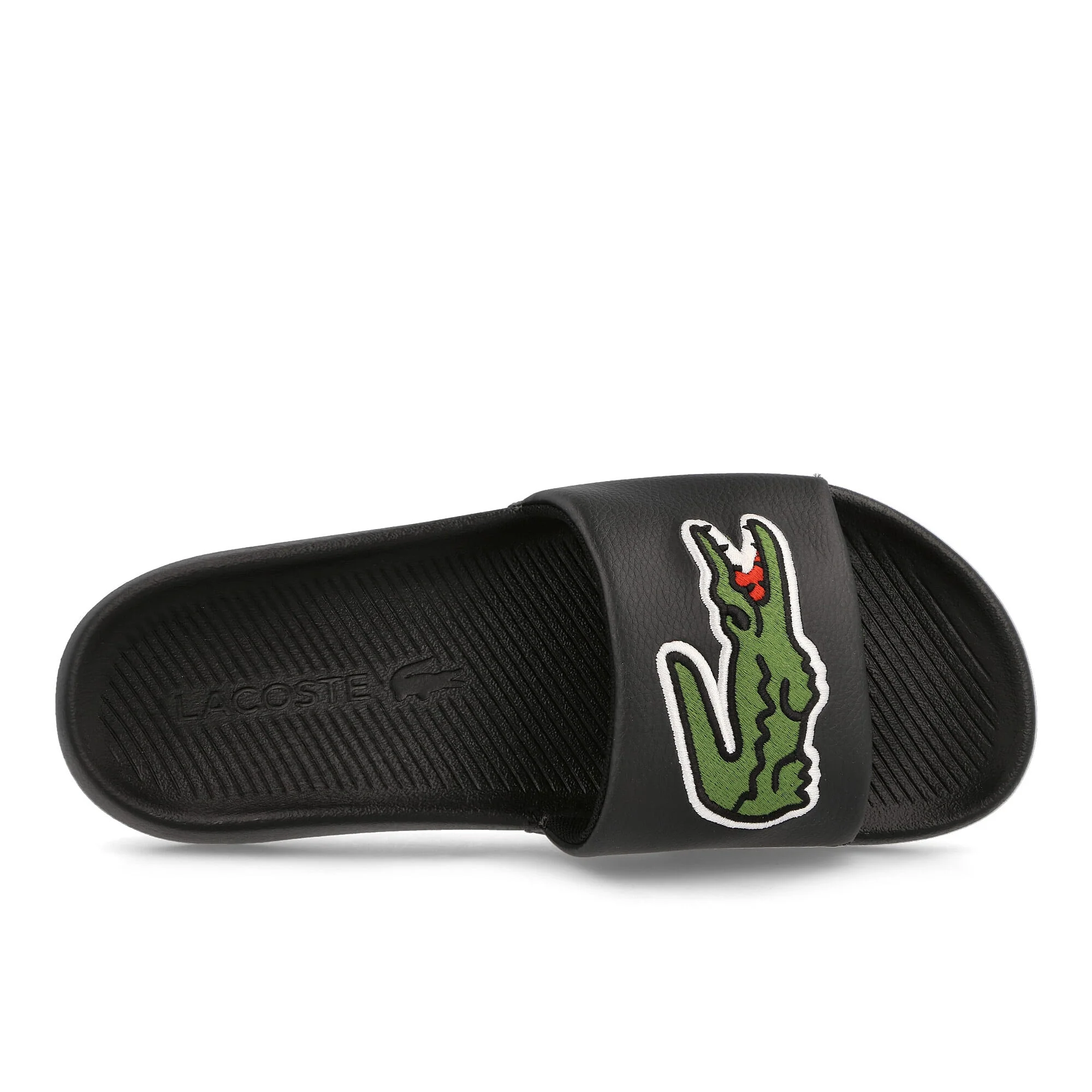 croco slide - Image 5