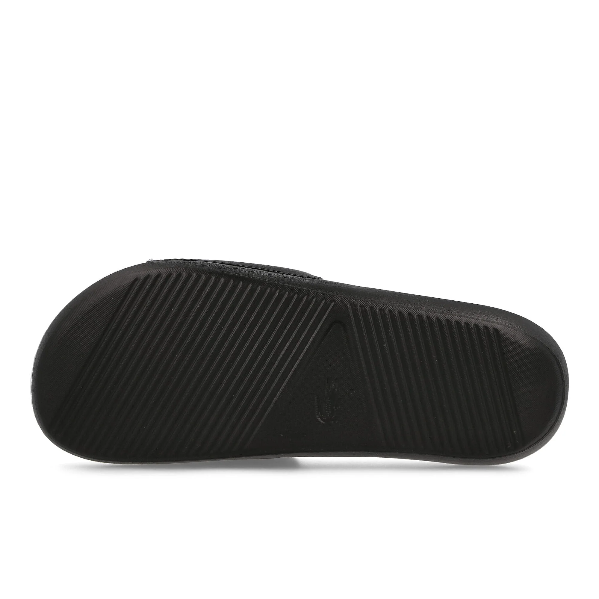croco slide - Image 6