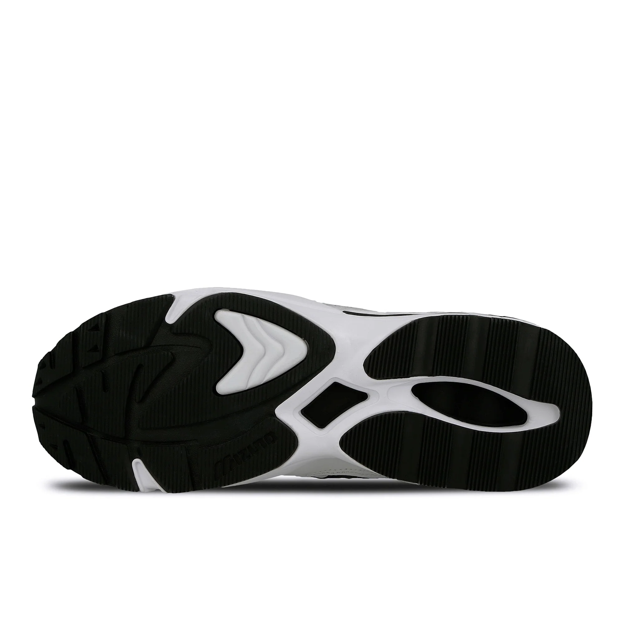 wave rider 1 - Image 6