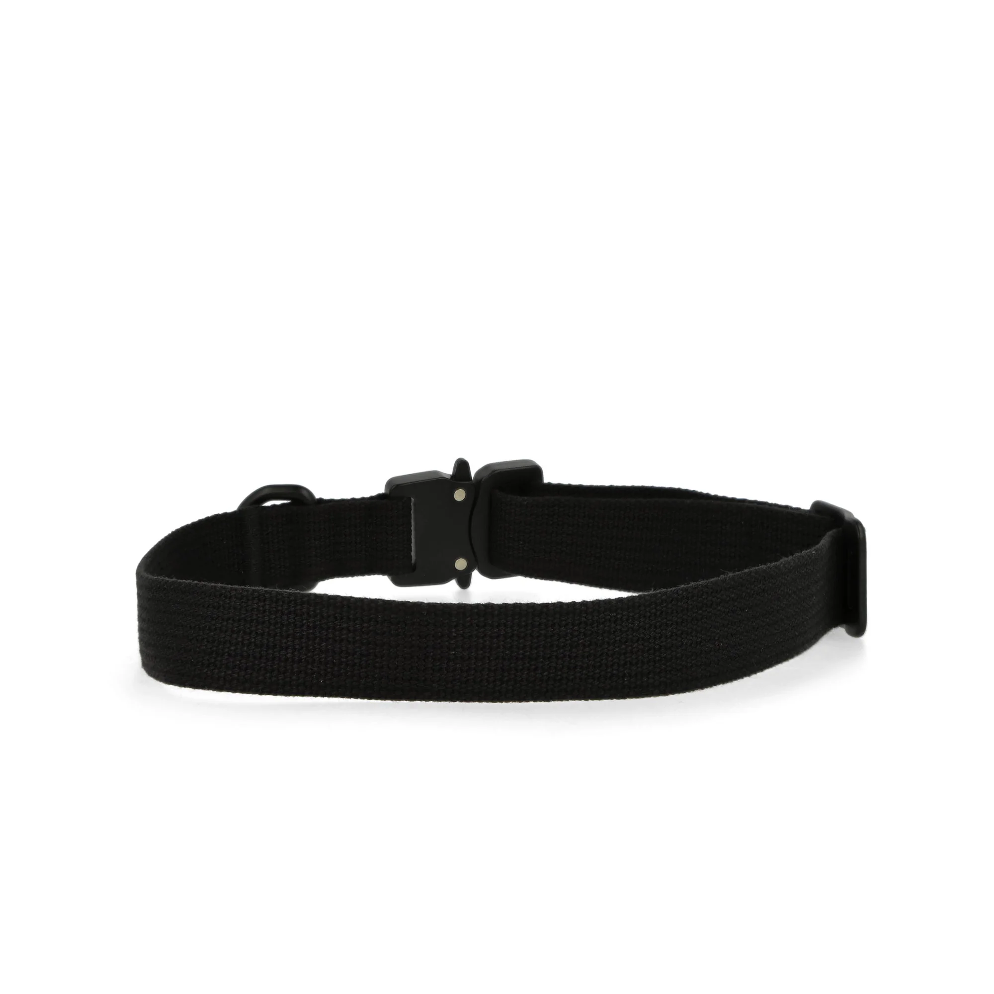 Dog Collar Wide - Image 4