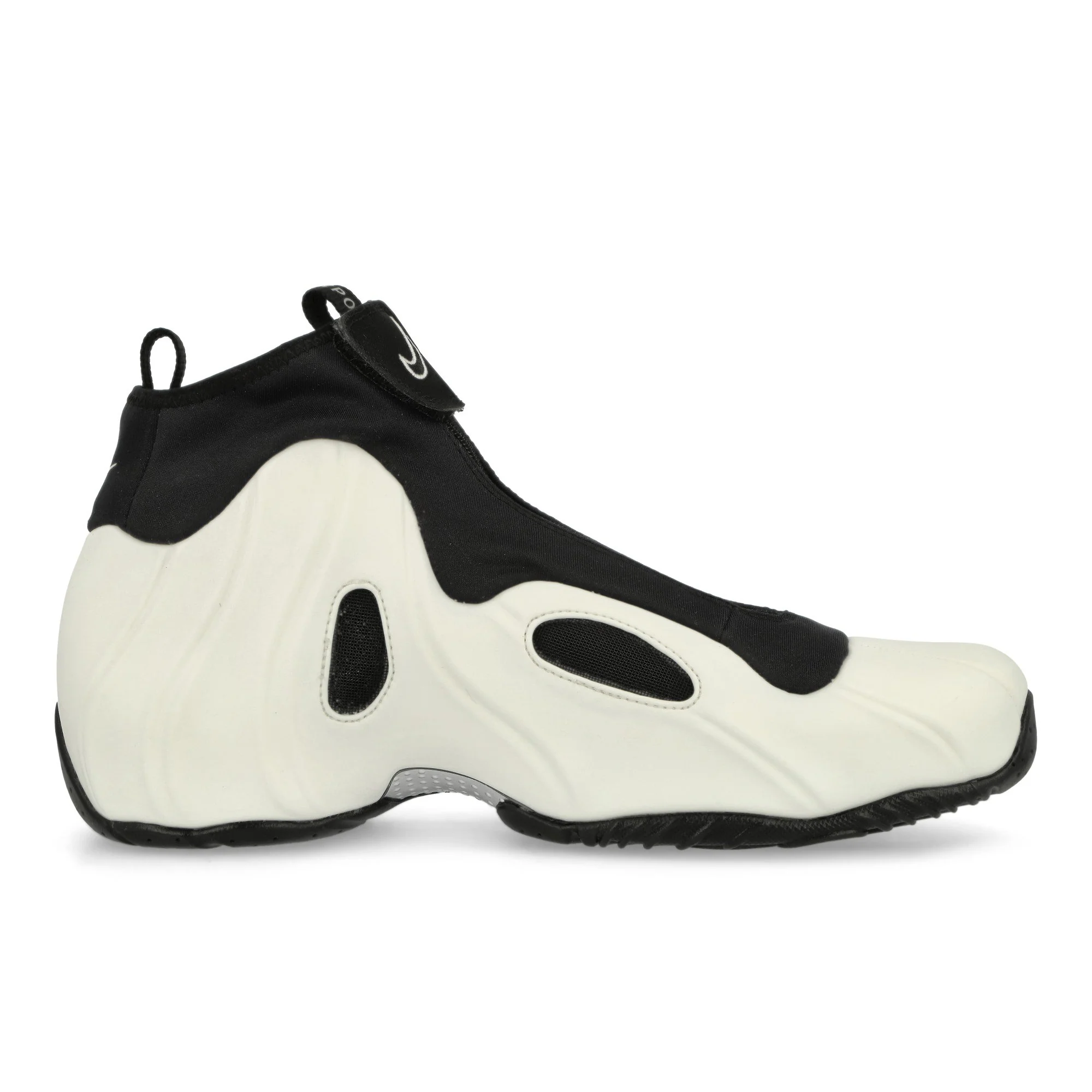 Air Flightposite - Image 2