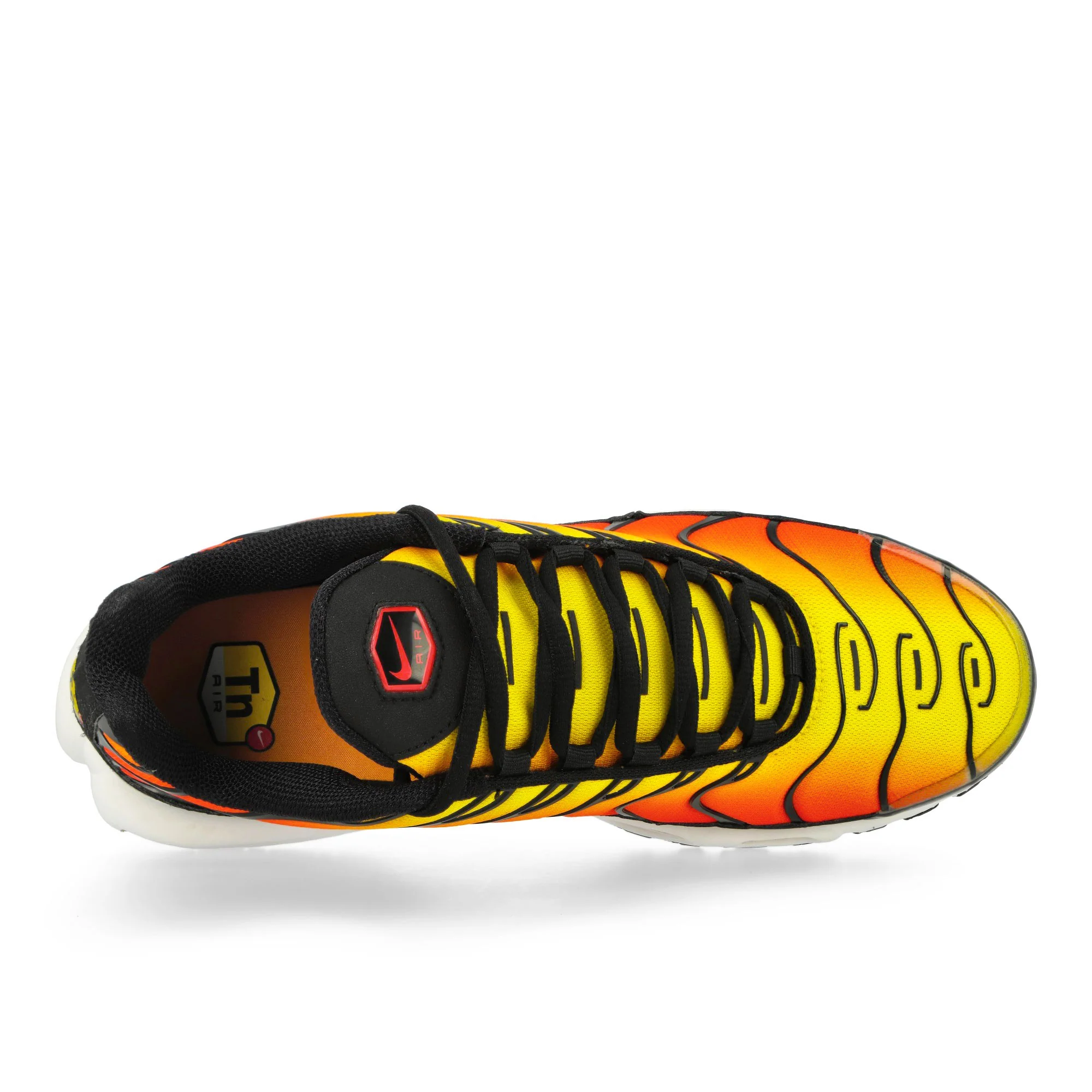 Air Max Plus - Image 5