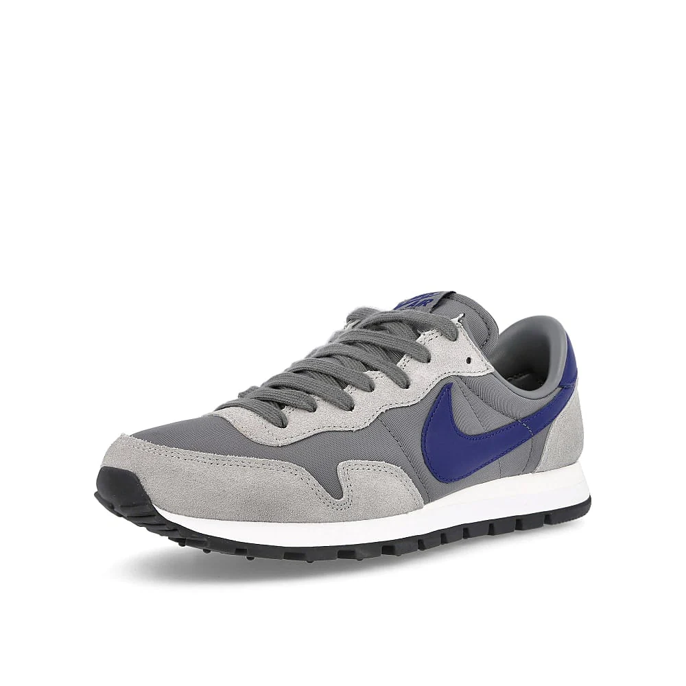 air pegasus 83 - Image 4