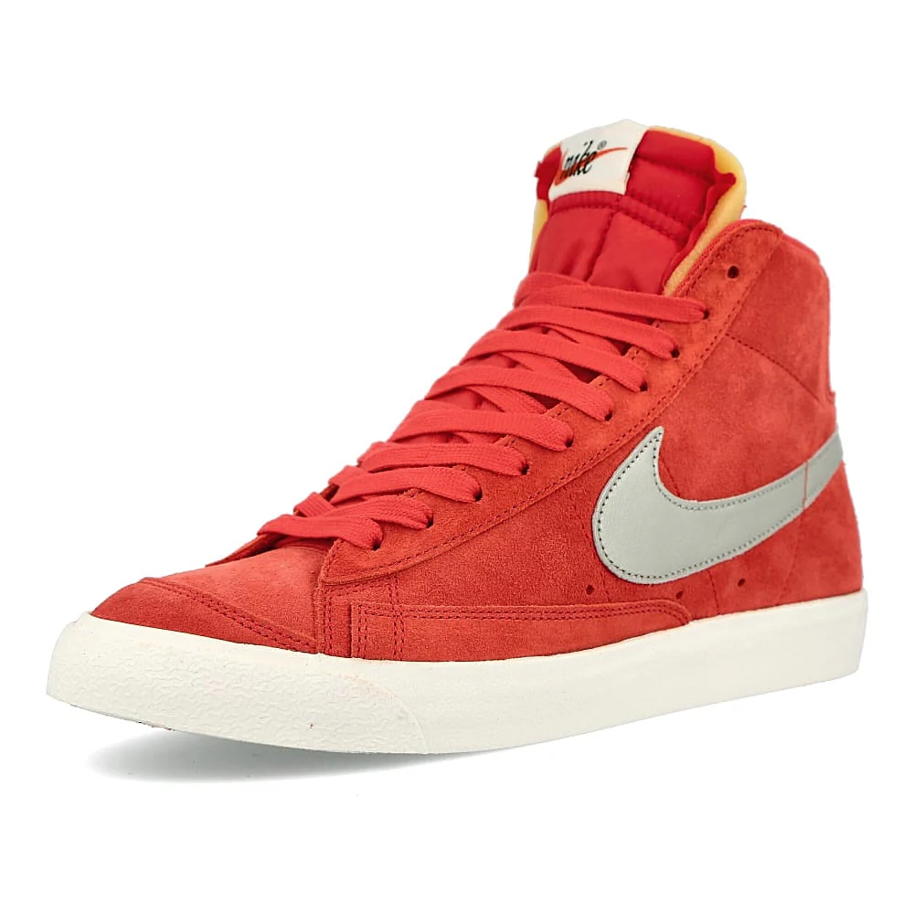 blazer '77 - Image 4