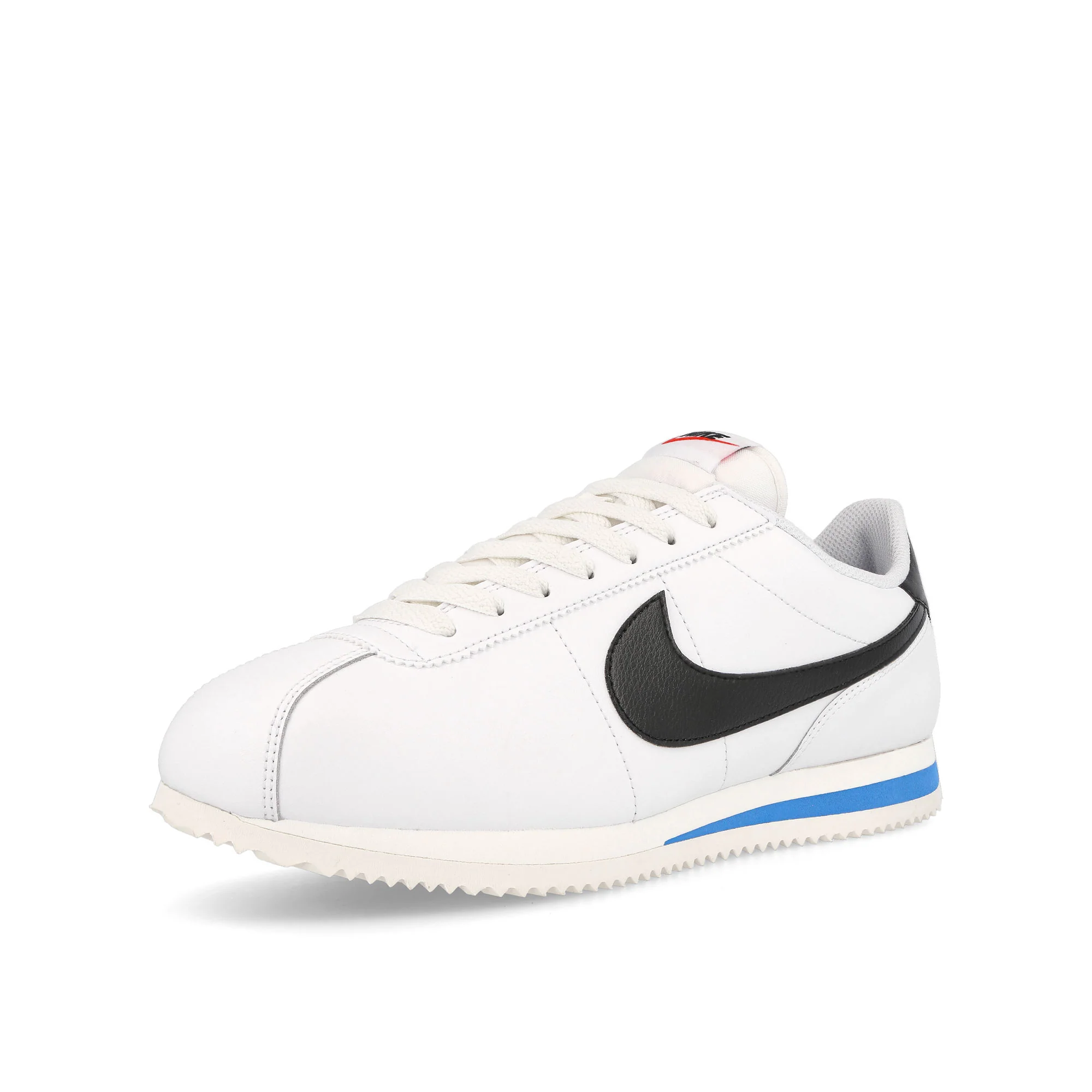 Cortez - Image 4