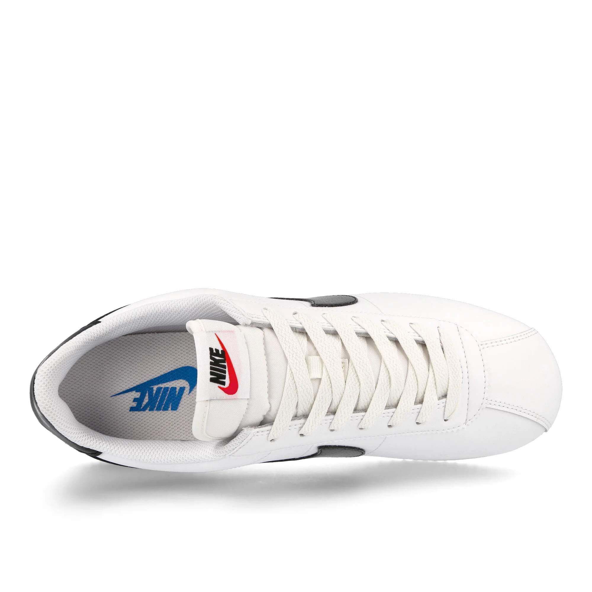 Cortez - Image 5