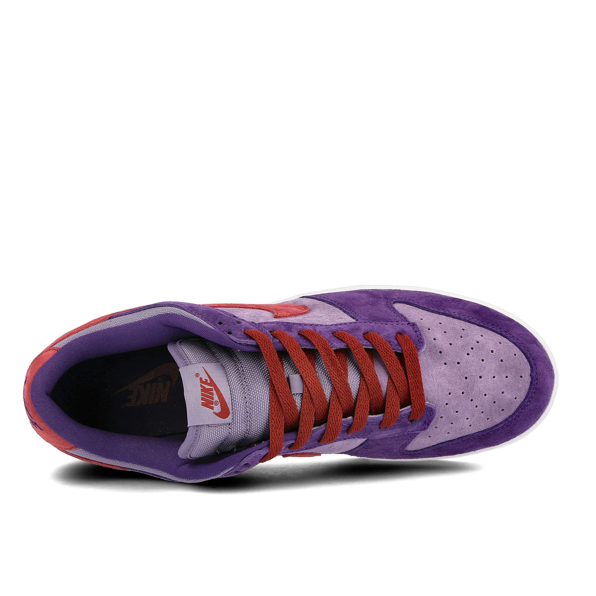 dunk low sp - Image 5