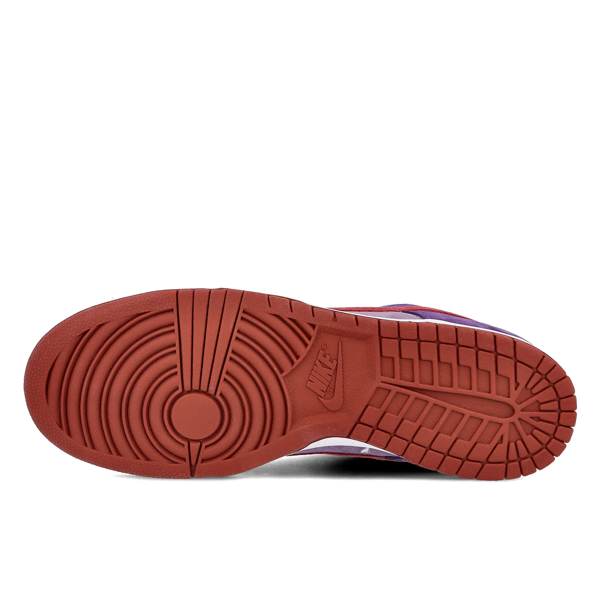 dunk low sp - Image 6