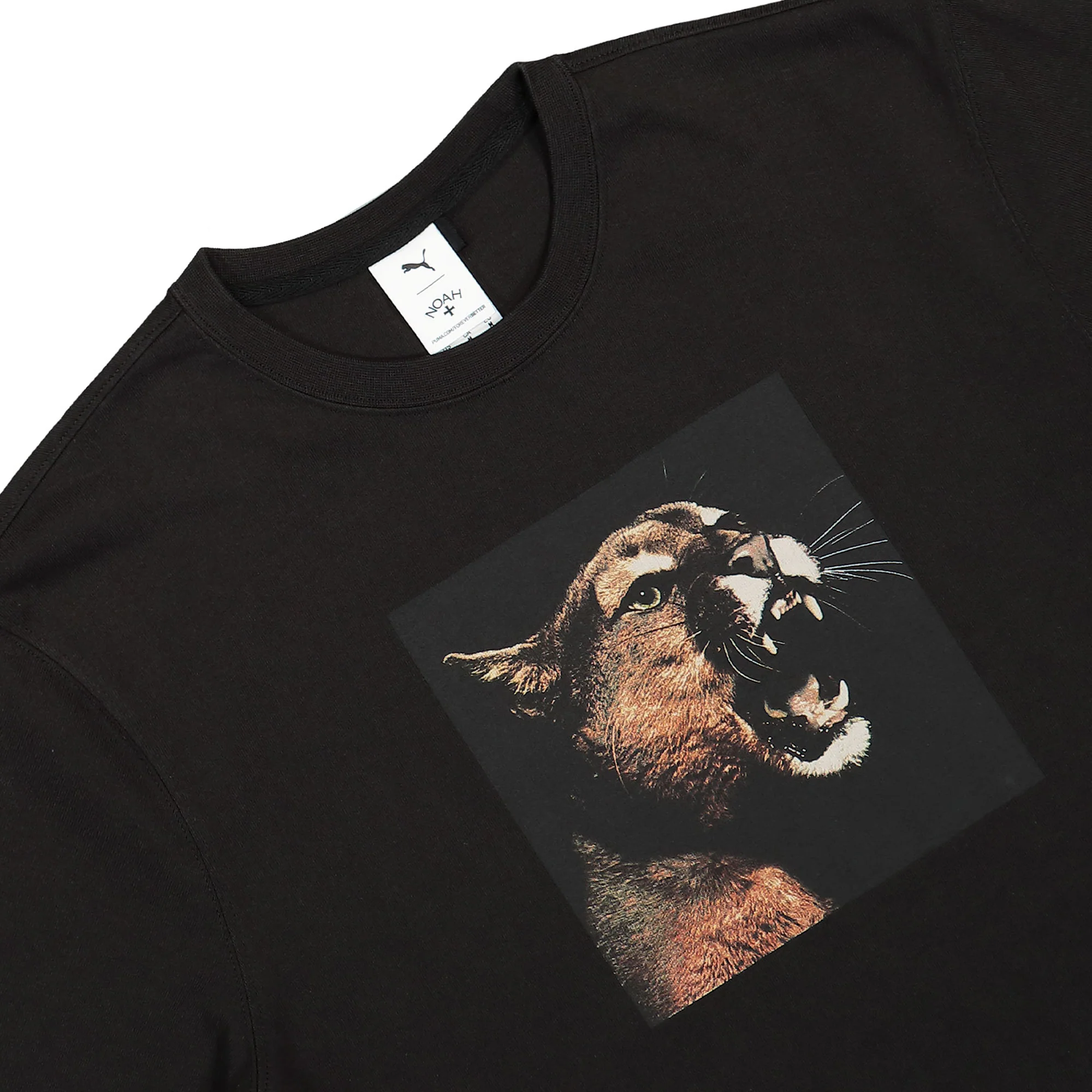 Photo Graphic Tee - Image 3