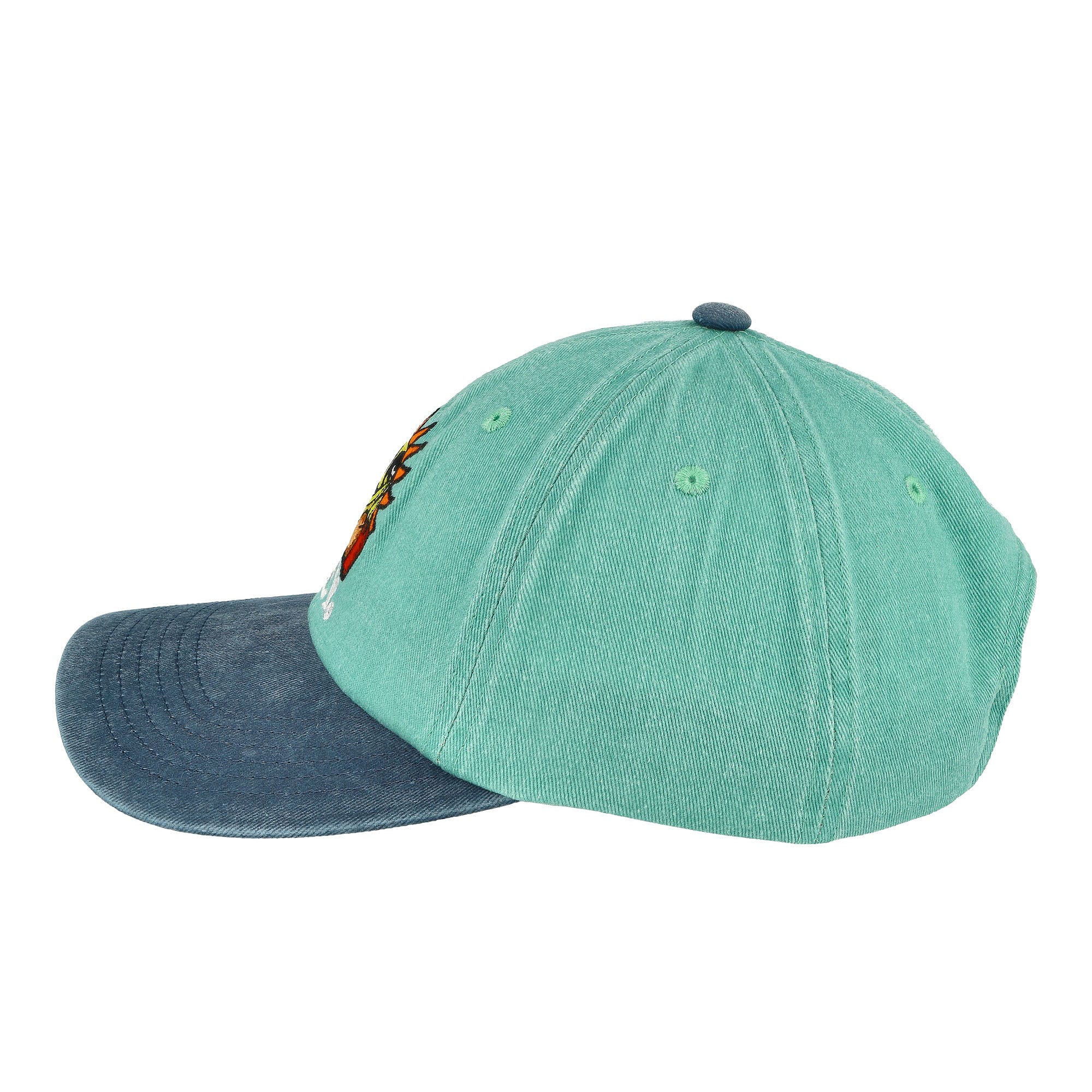 Pigment Fruits 6 Panel Snapback Cap - Image 2
