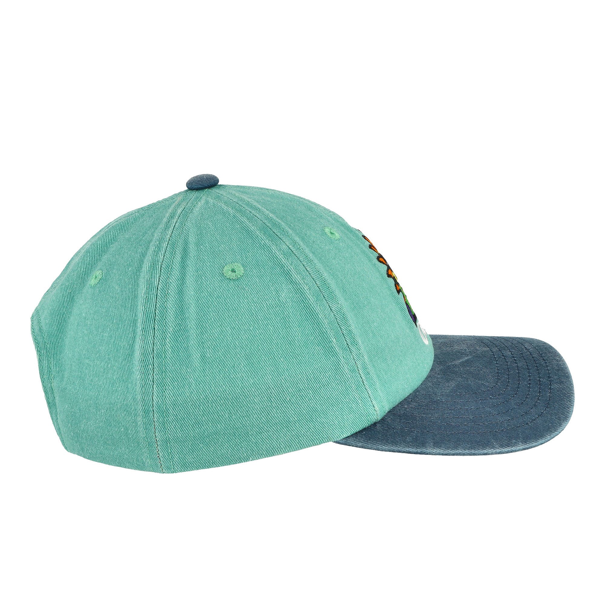 Pigment Fruits 6 Panel Snapback Cap - Image 3