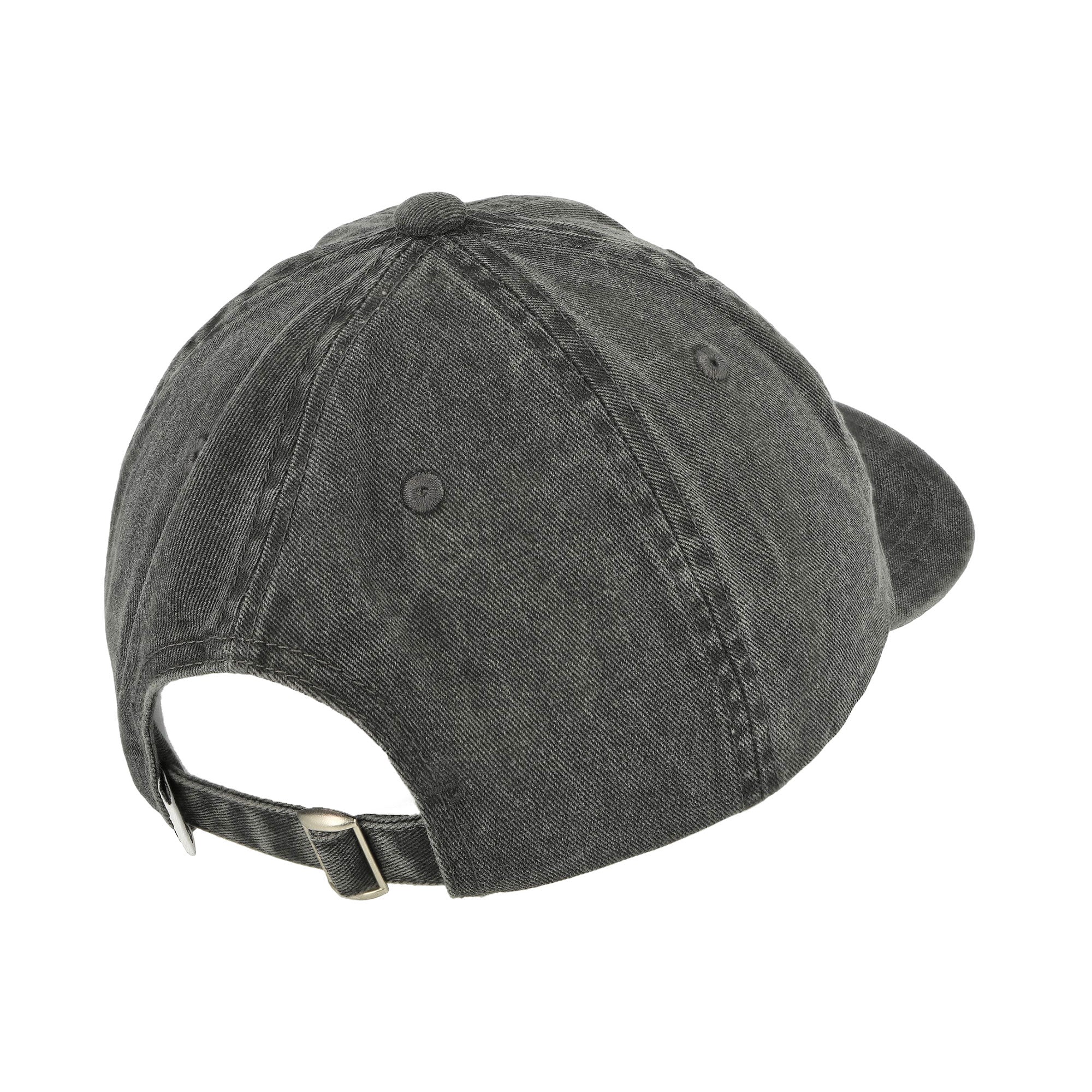Pigment Lowercase 6 Panel Strapback - Image 5