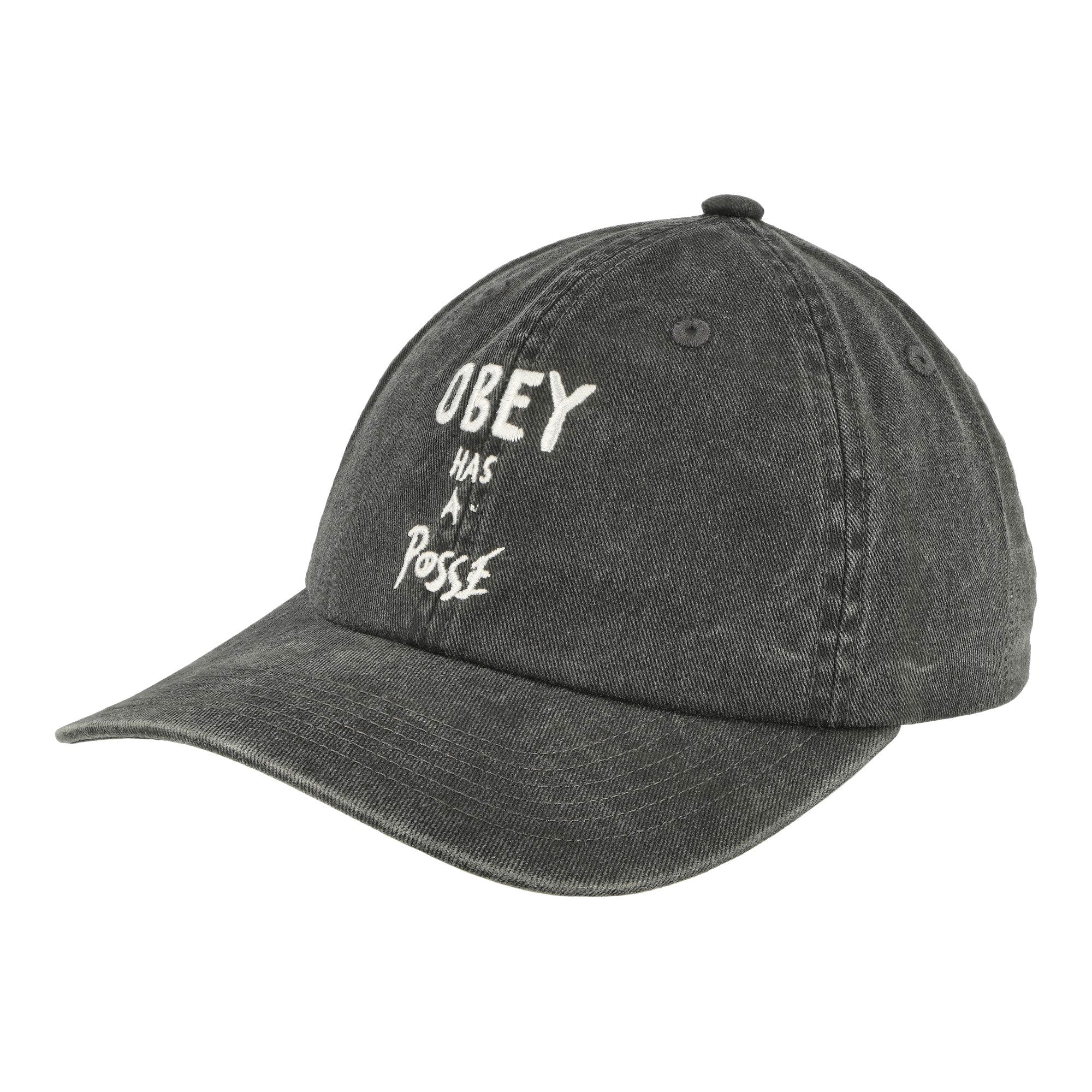 Pigment Posse 6 Panel Snapback