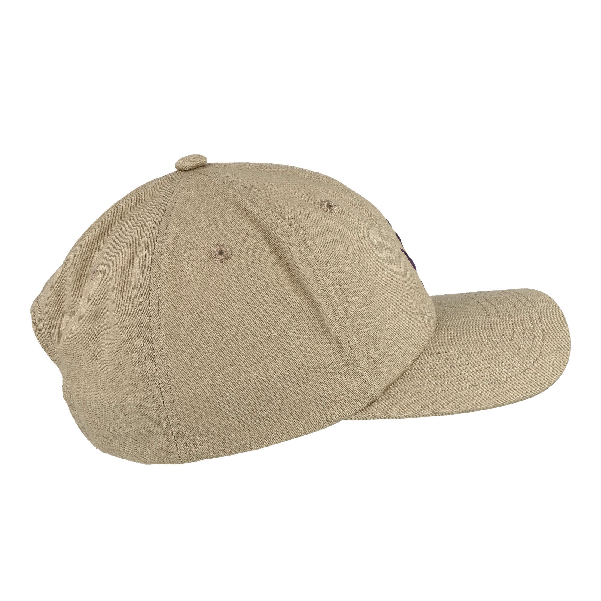 Plant 6 Panel Snapback - Image 3