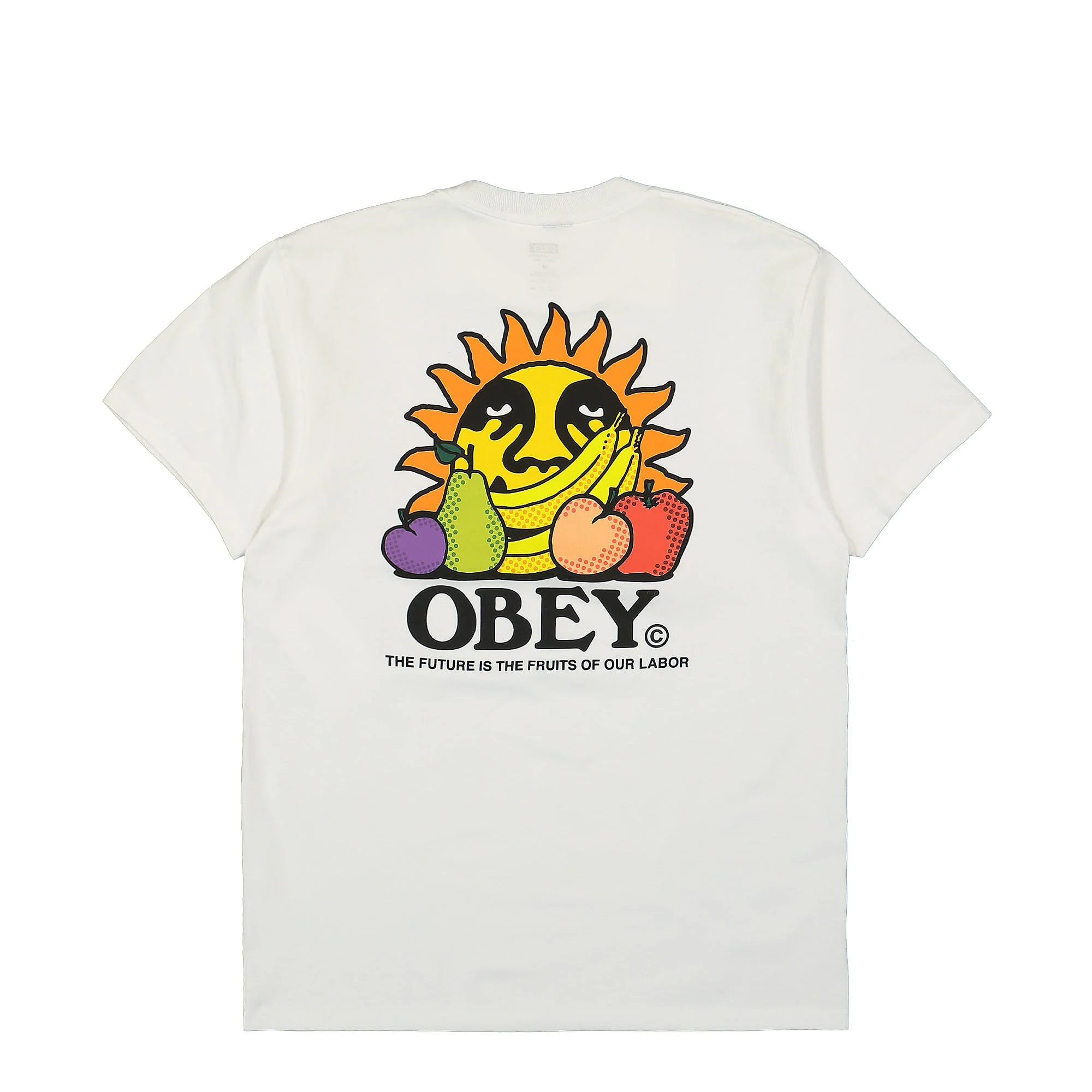The Future Is The Fruits Of Our Labor T-Shirt - Image 3