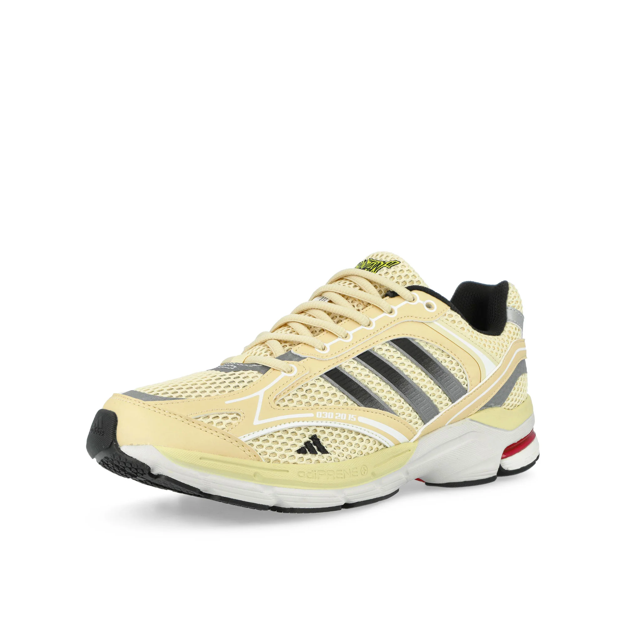 Spiritain 2000 - Image 5