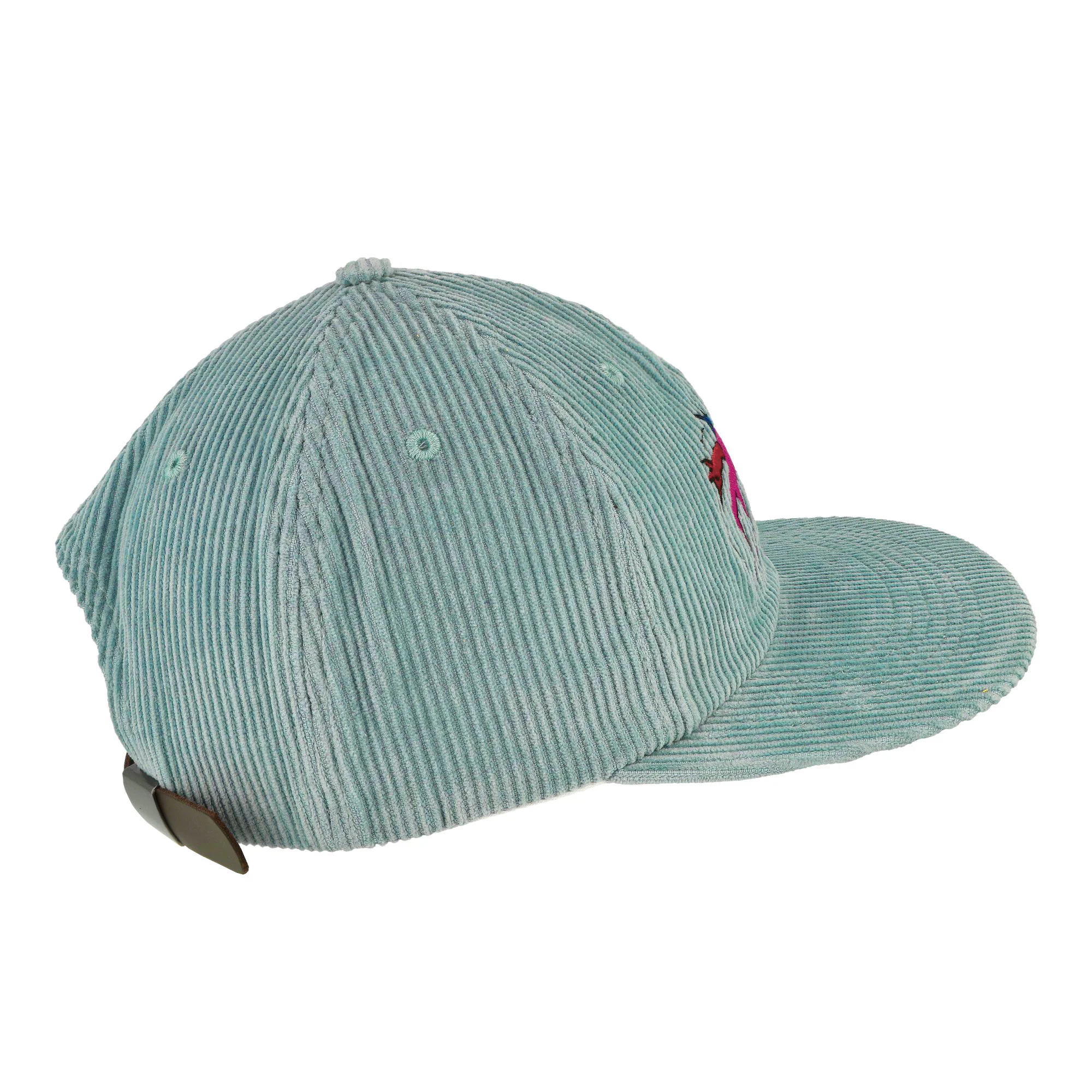 The Zoomies 6 Panel Hat - Image 3