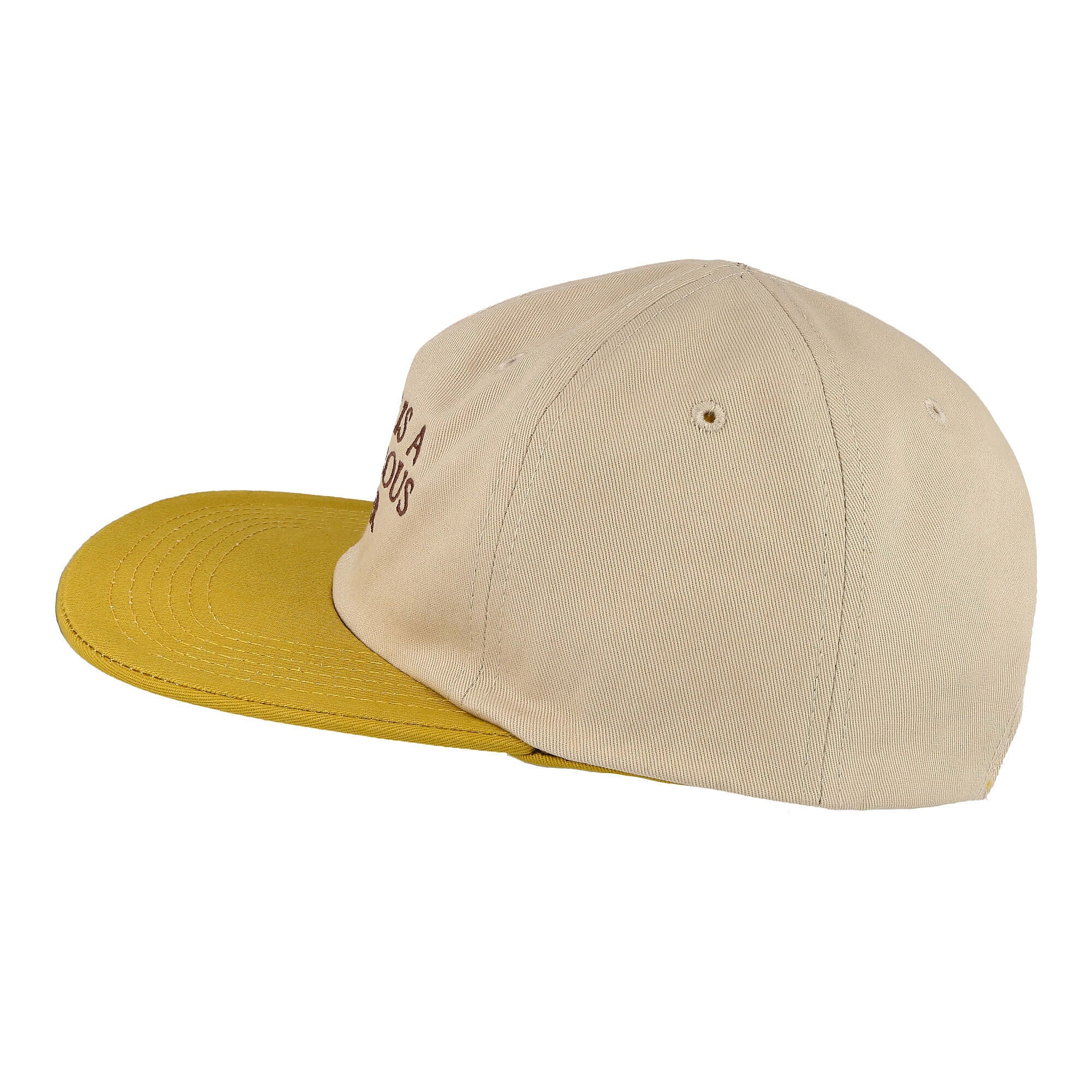 Carnivore Reversible Hat - Image 4