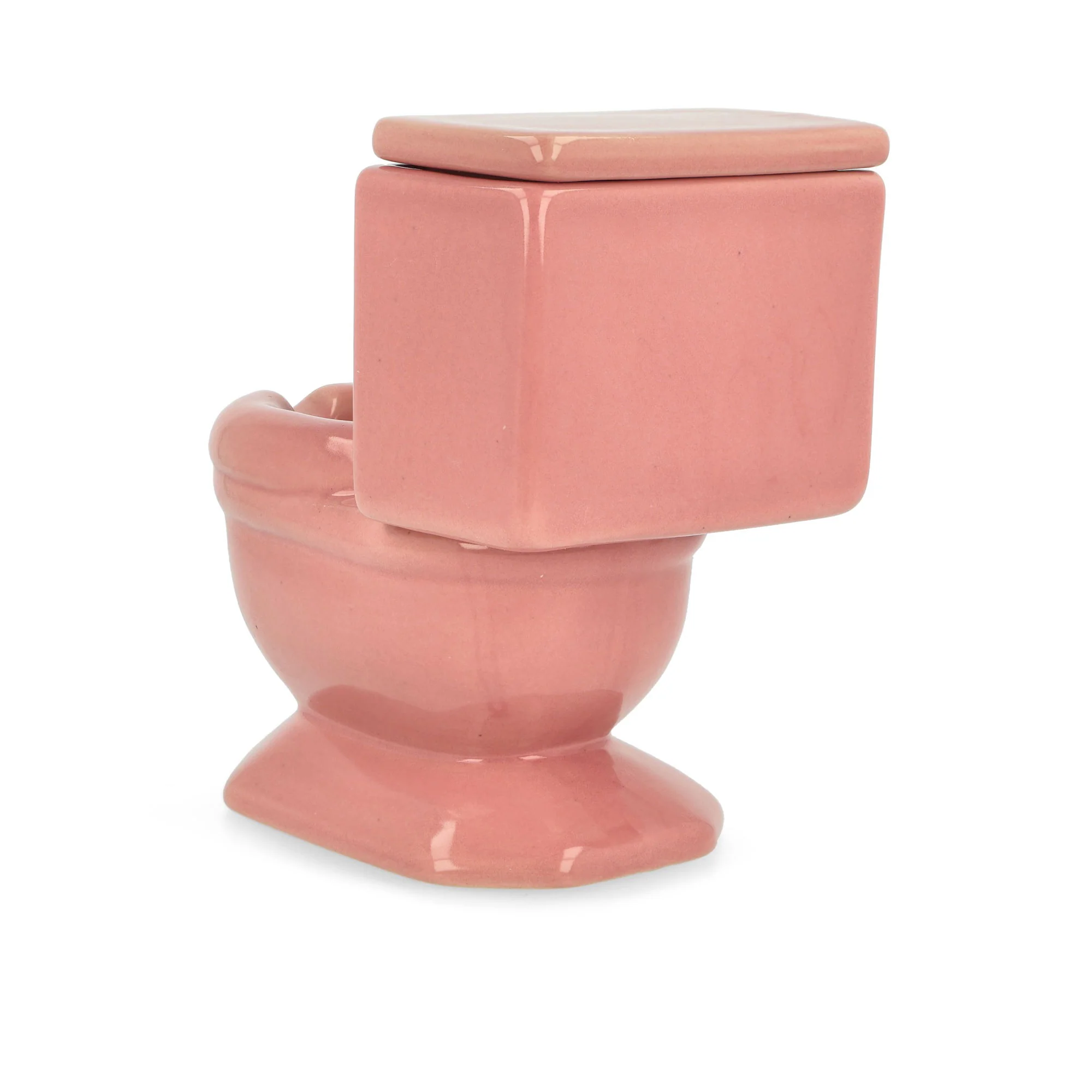 Toilet Ashtray - Image 5
