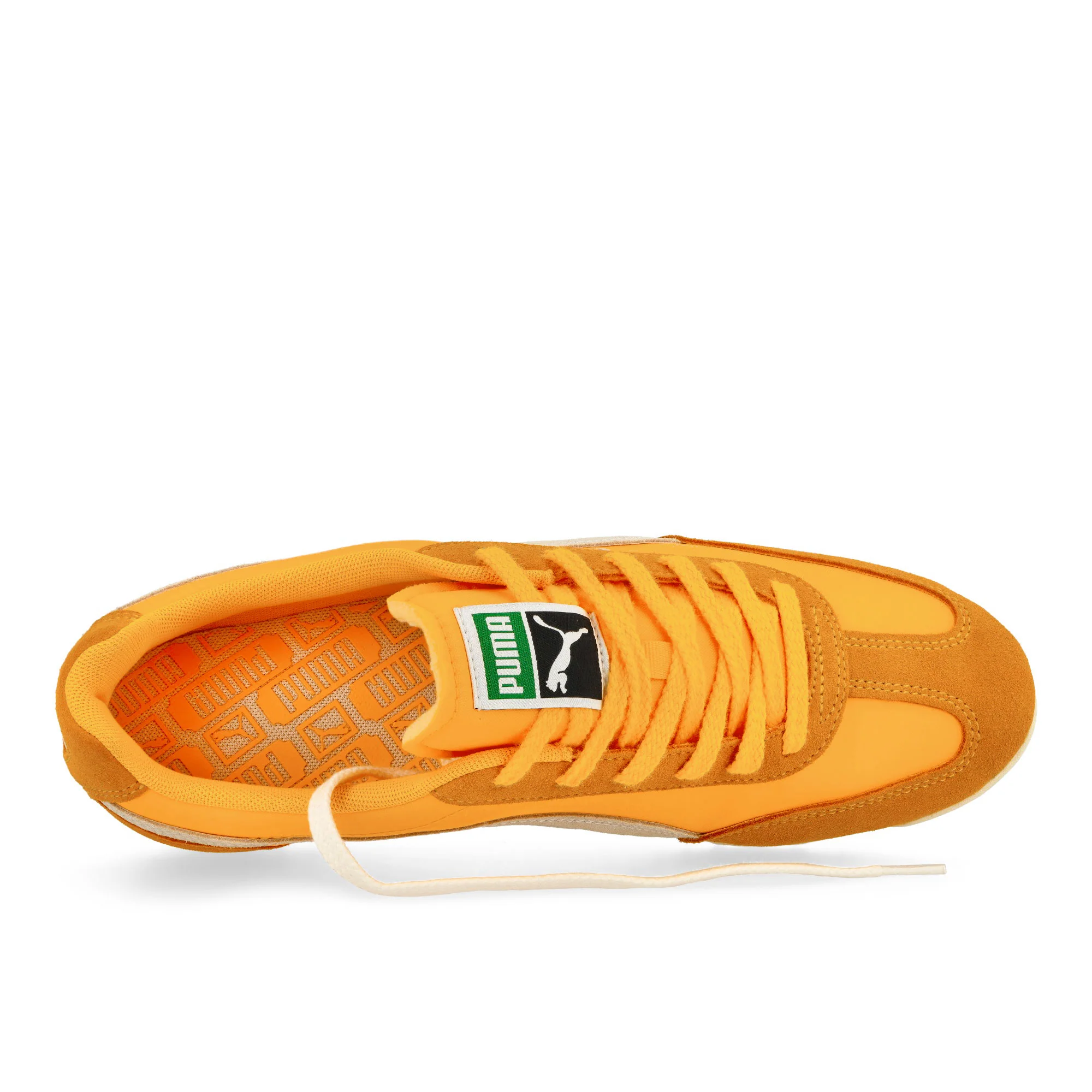 Arizona Nylon - Image 5