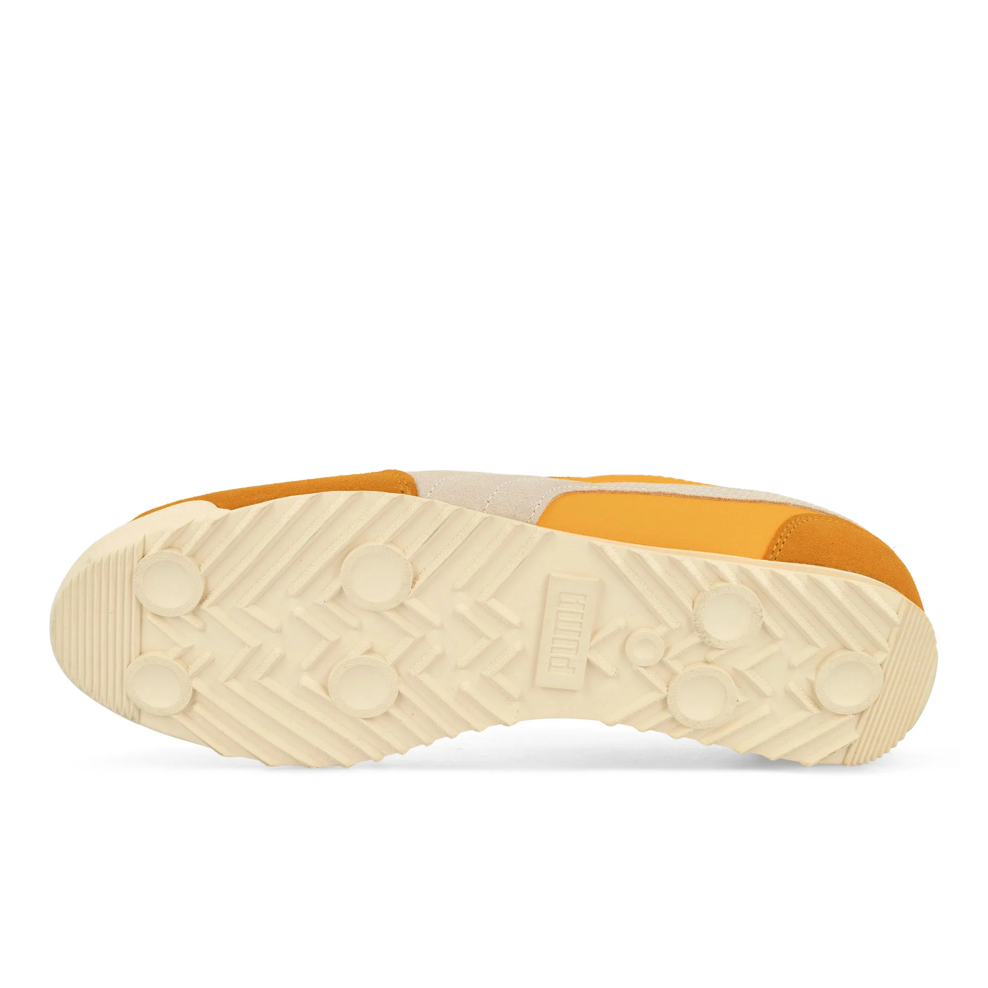 Arizona Nylon - Image 6