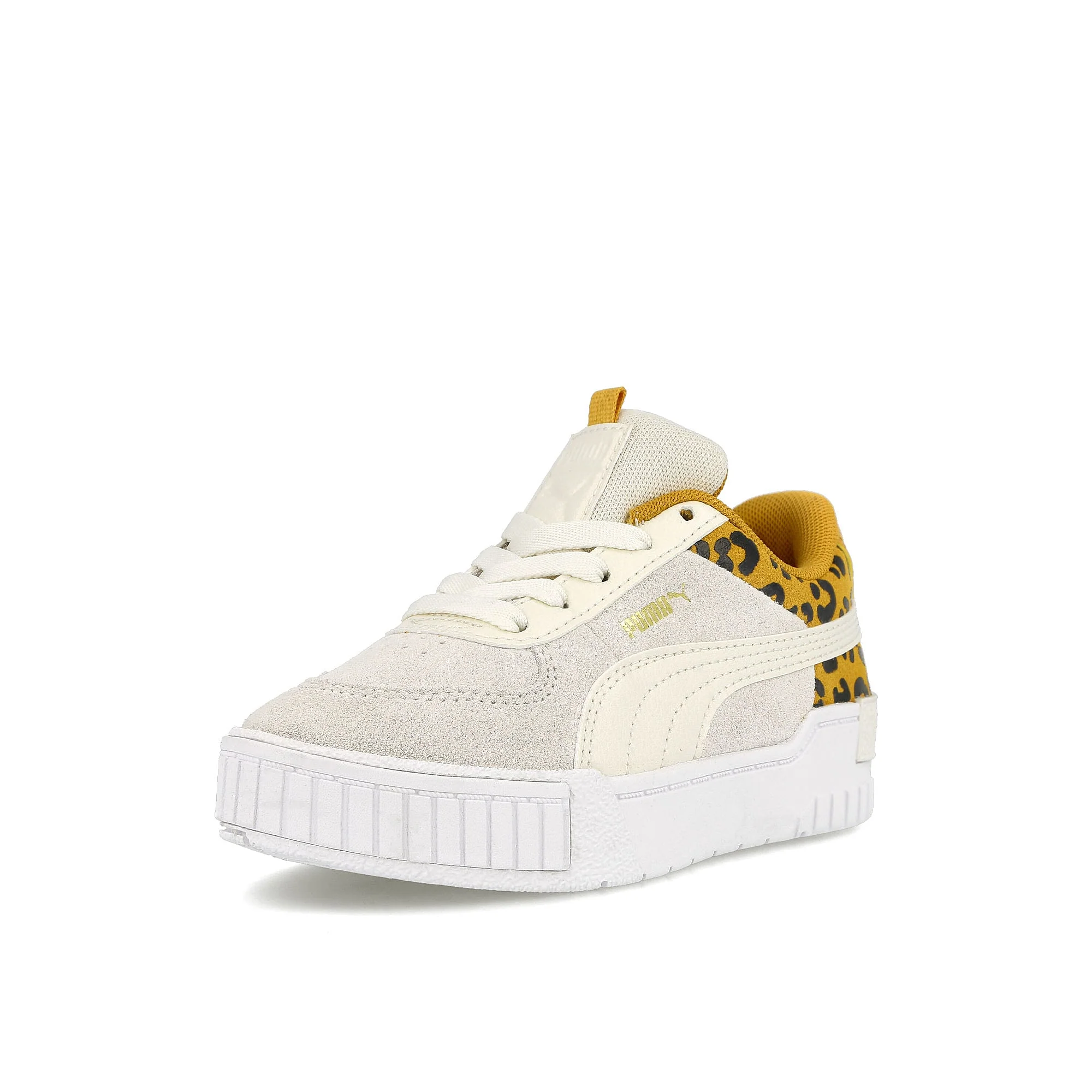cali sport roar ps - Image 4