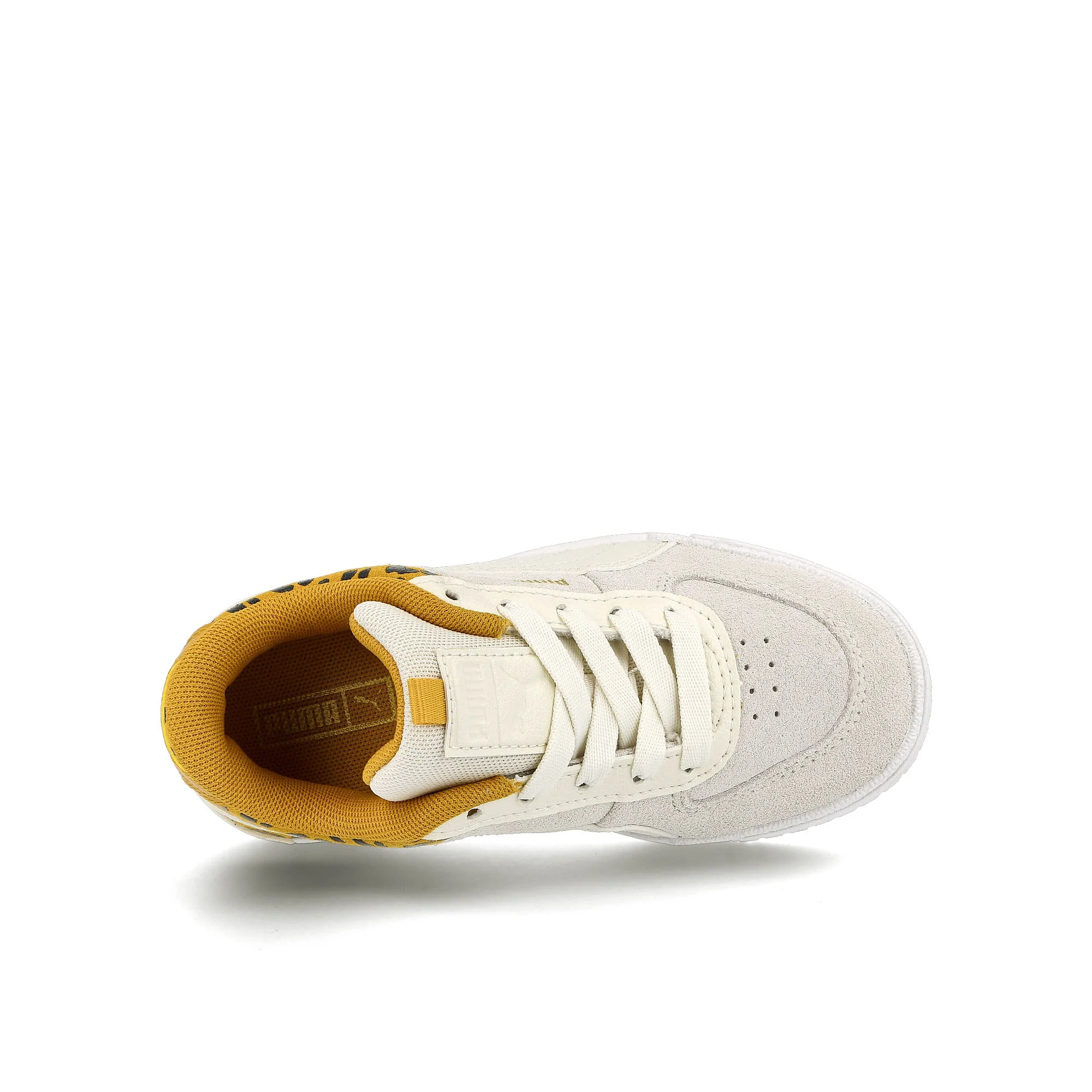 cali sport roar ps - Image 5