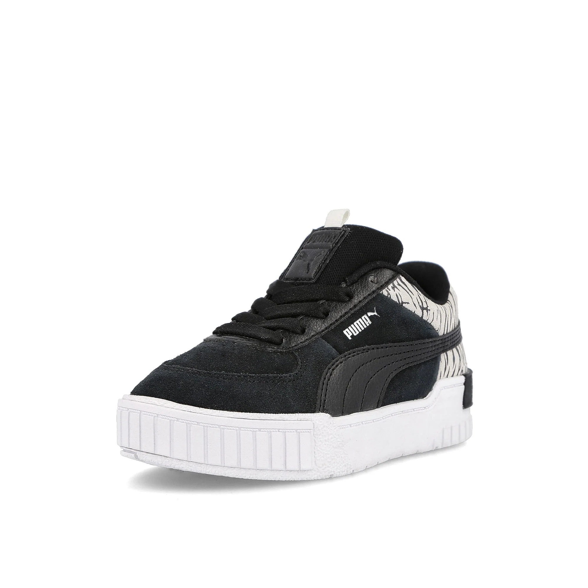 cali sport roar ps - Image 4